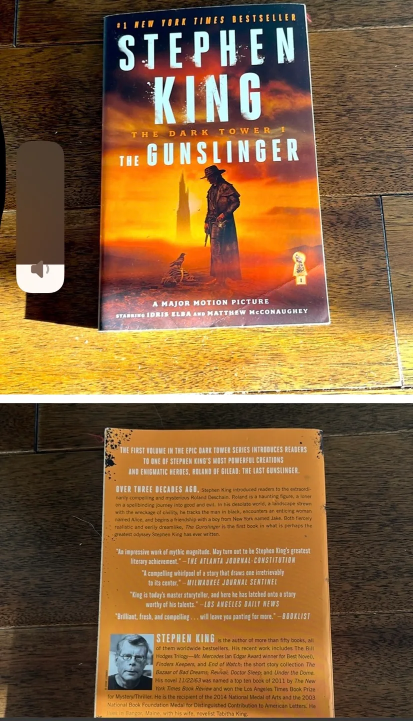 Mixed Lot of Novels & Books. Price for lot image indicator(10)