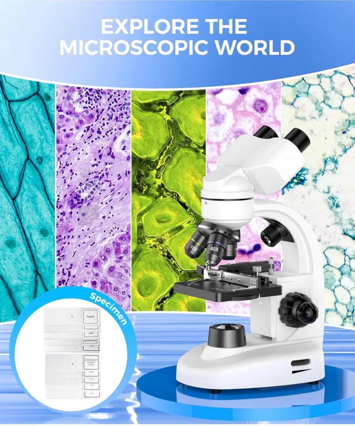 Microscope with FMC Coating Film image indicator(4)