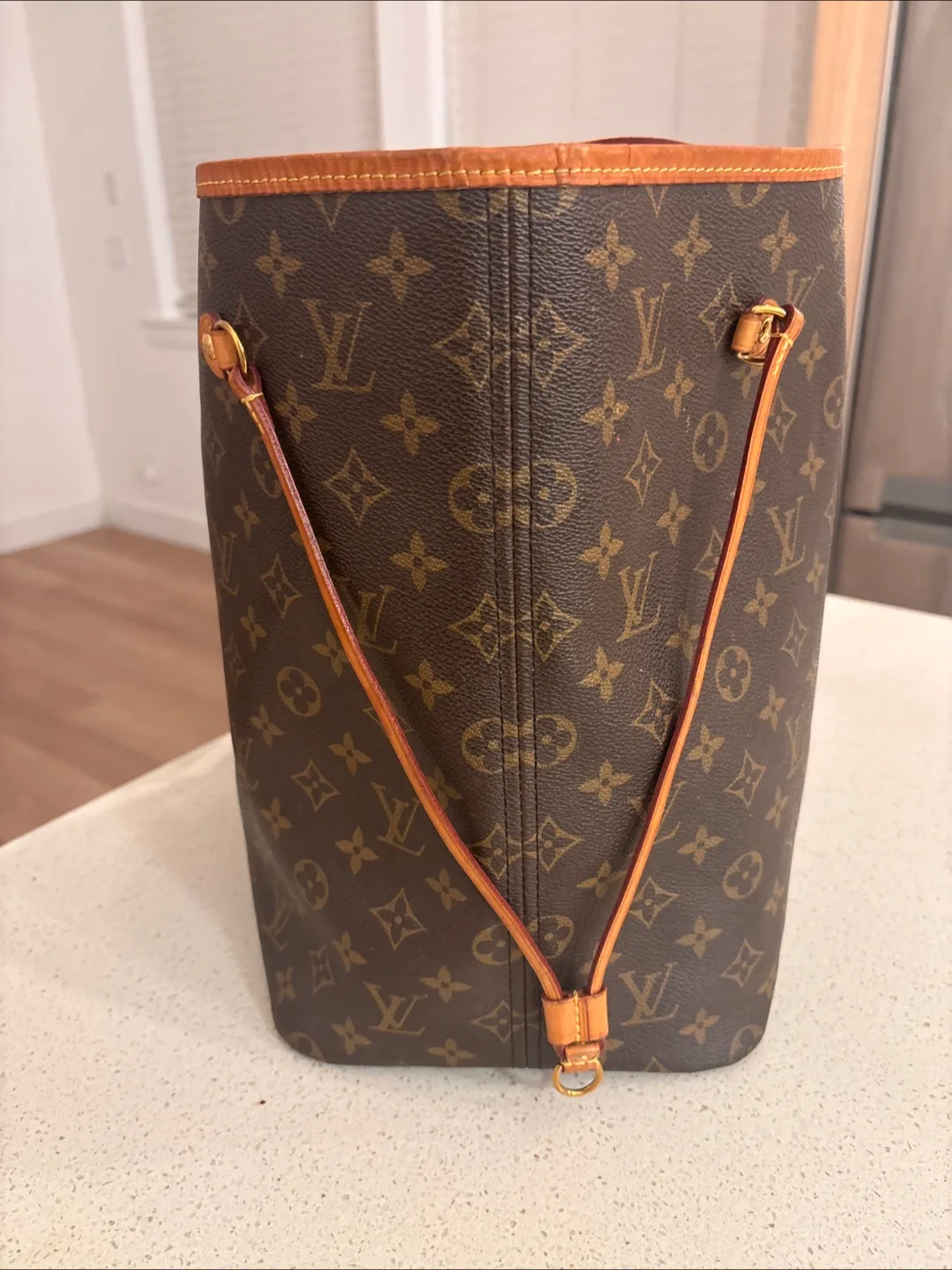 Louis Vuitton Neverfull GMTote Bag image indicator(5)