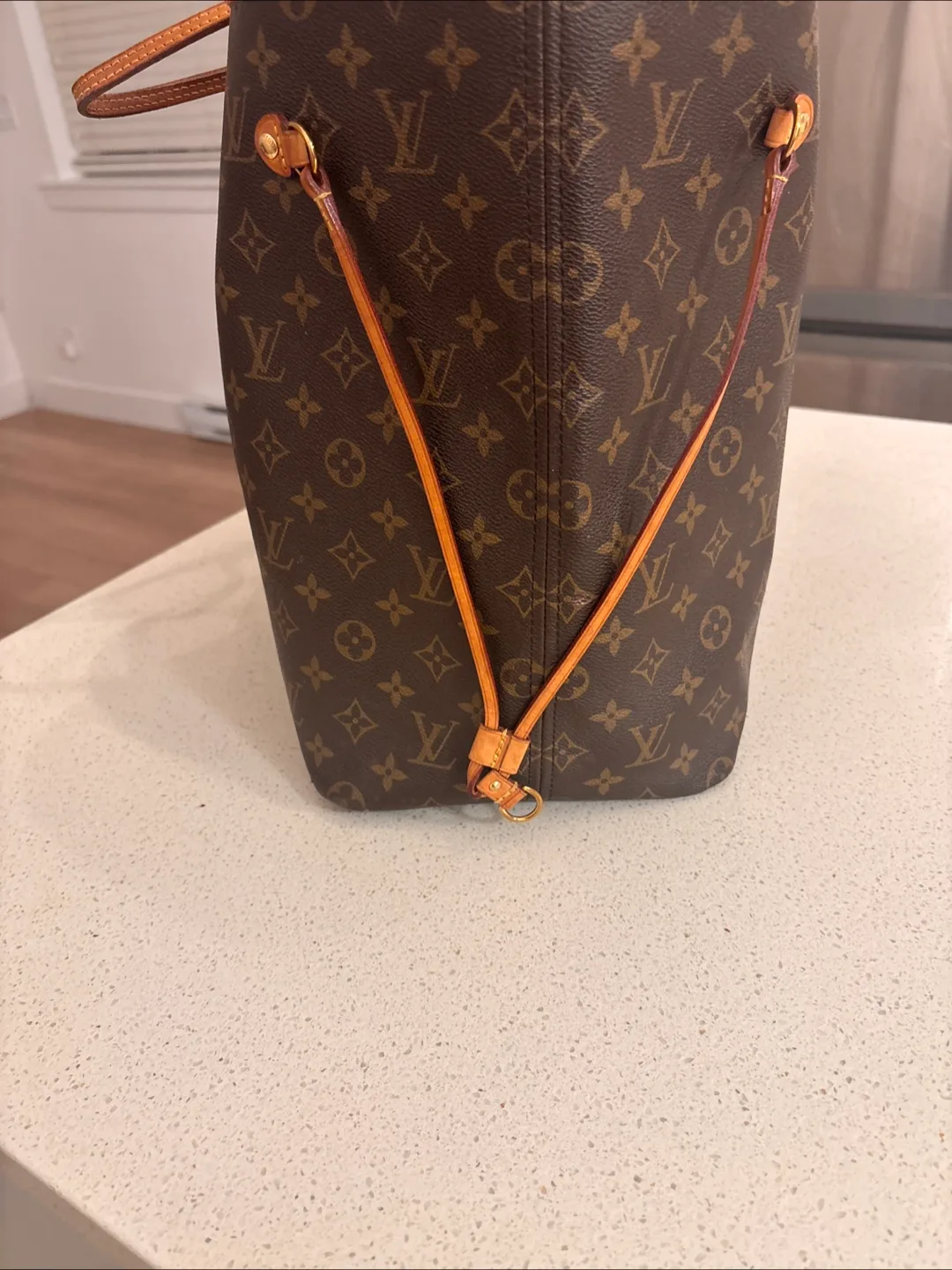 Louis Vuitton Neverfull GMTote Bag image indicator(6)