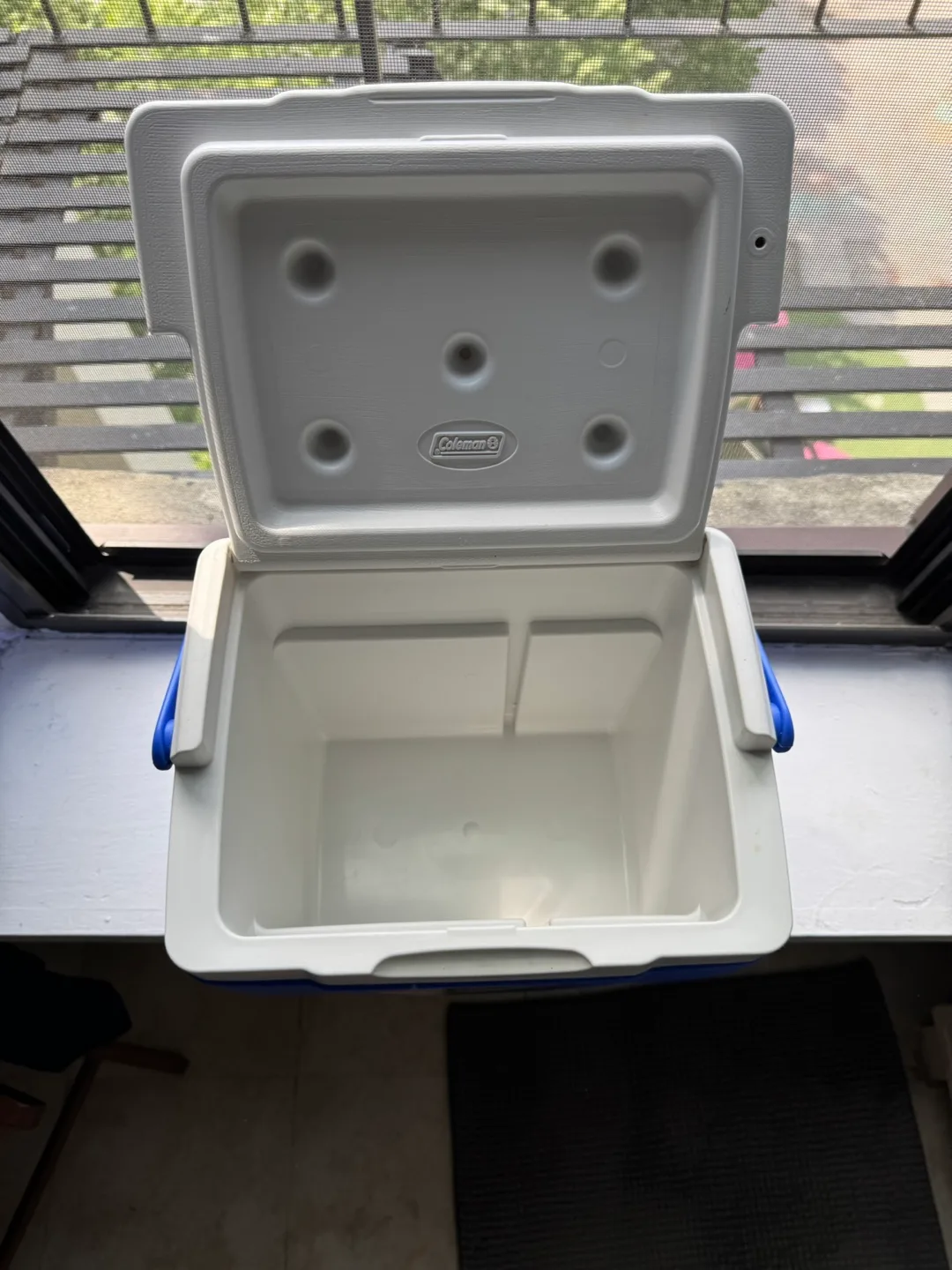 Coleman Excursion 9-Quart Personal Cooler - Blue image indicator(3)