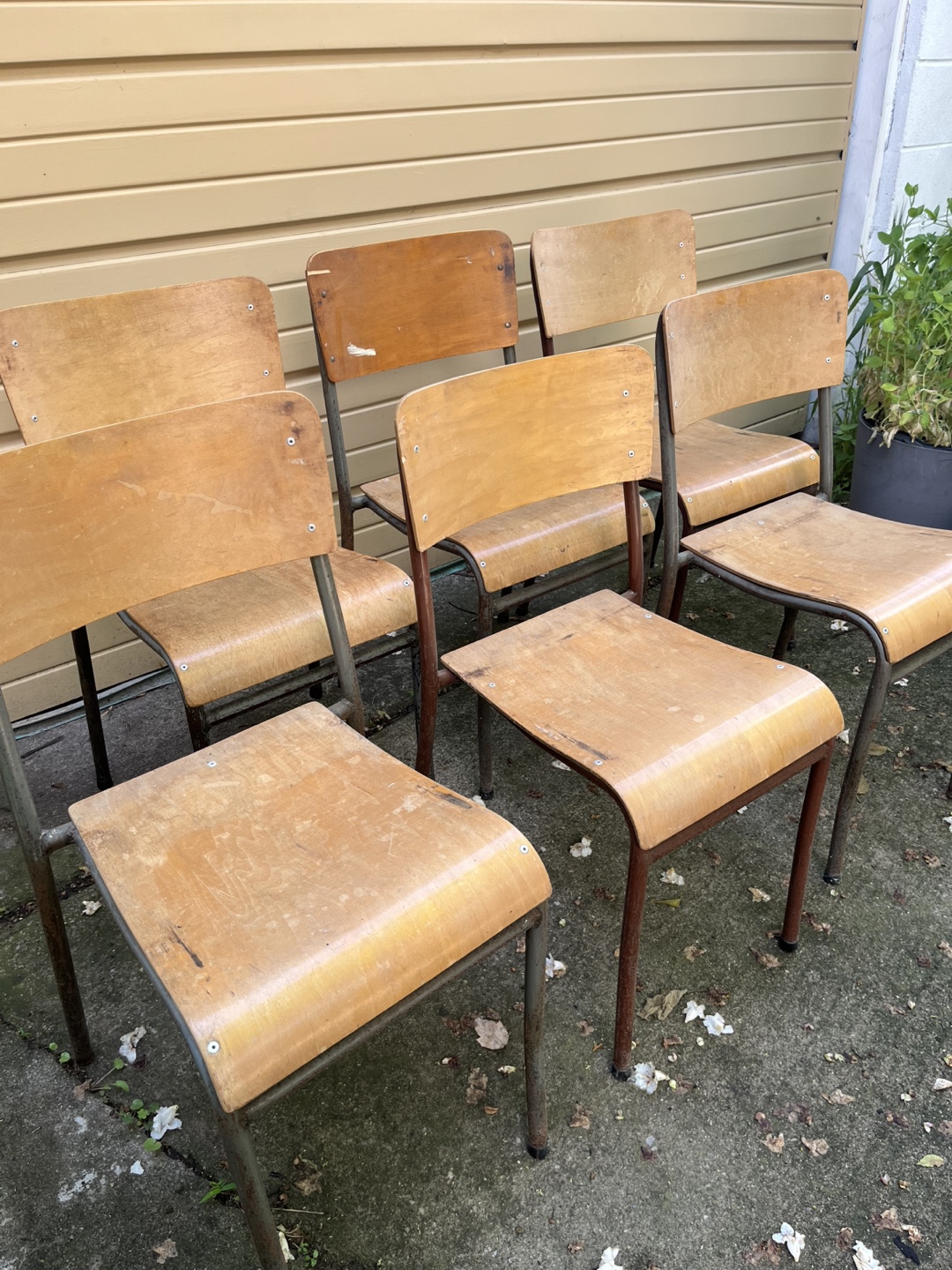 Vintage School Chairs - Set of 6 - photo 2