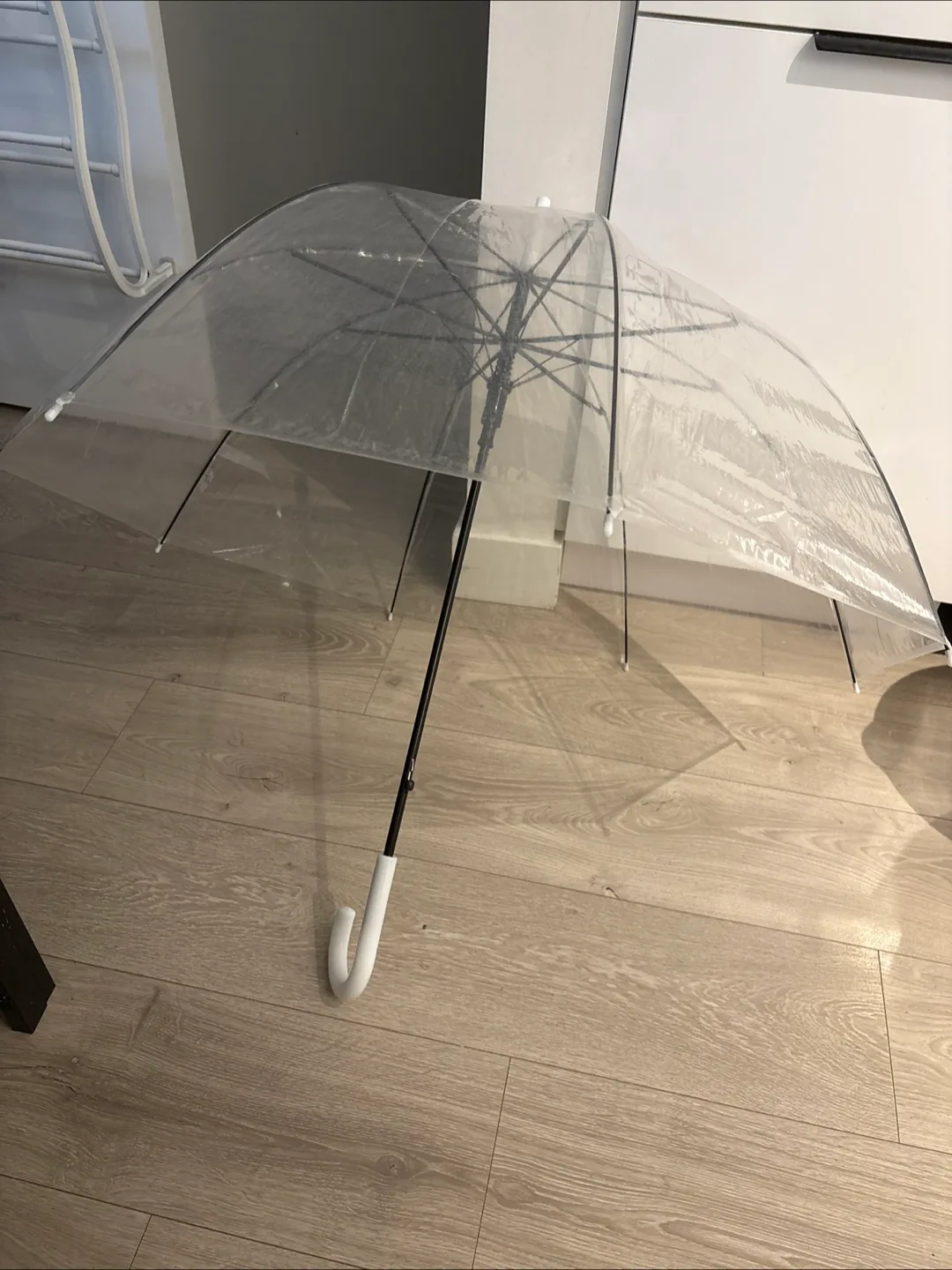 Clear Bubble Umbrella 🇨🇦 image indicator(2)