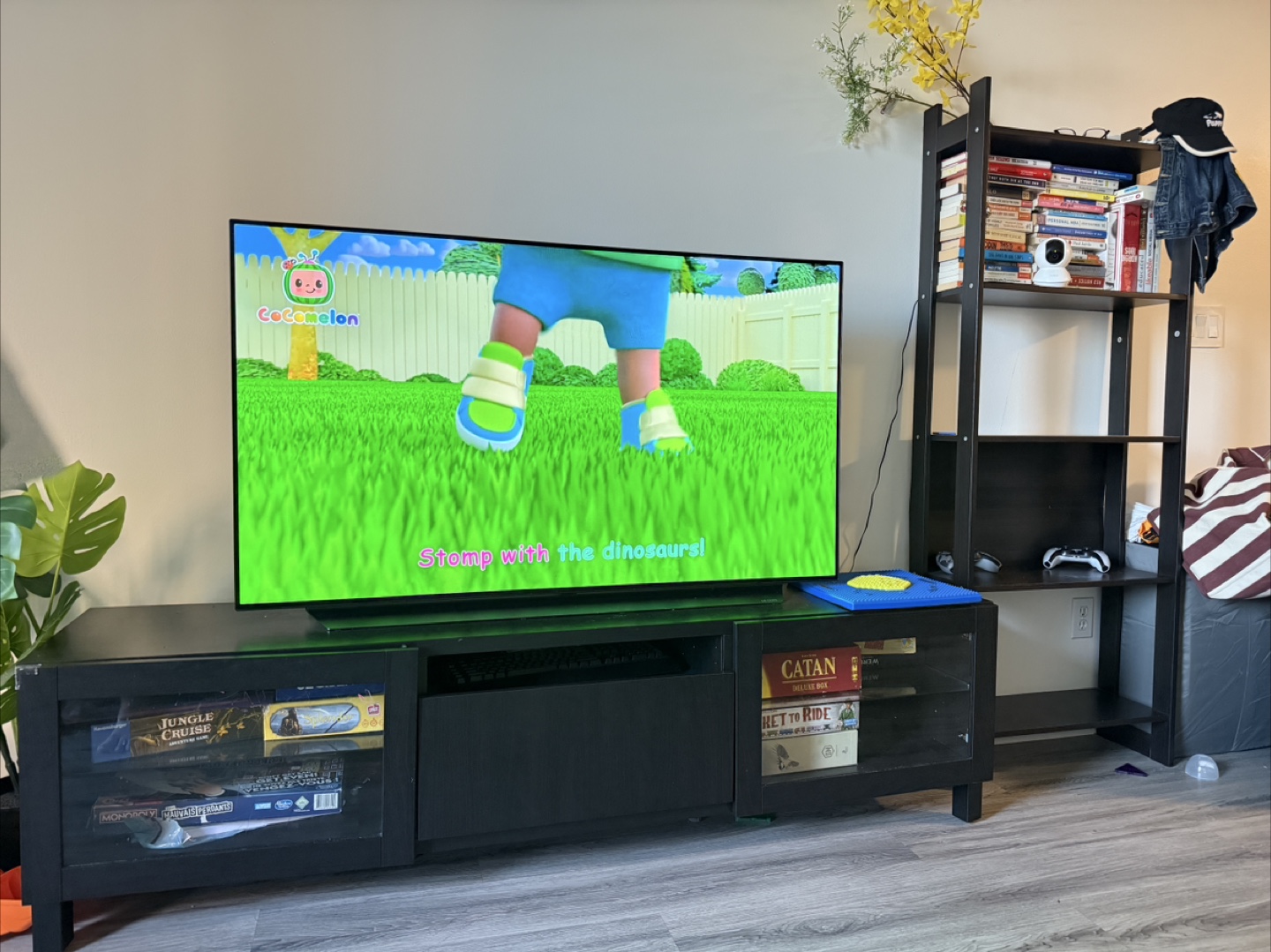 TV stand