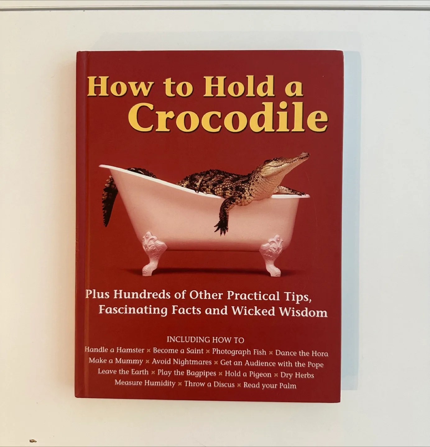 FREE: “How to Hold a Crocodile” book thumbnail