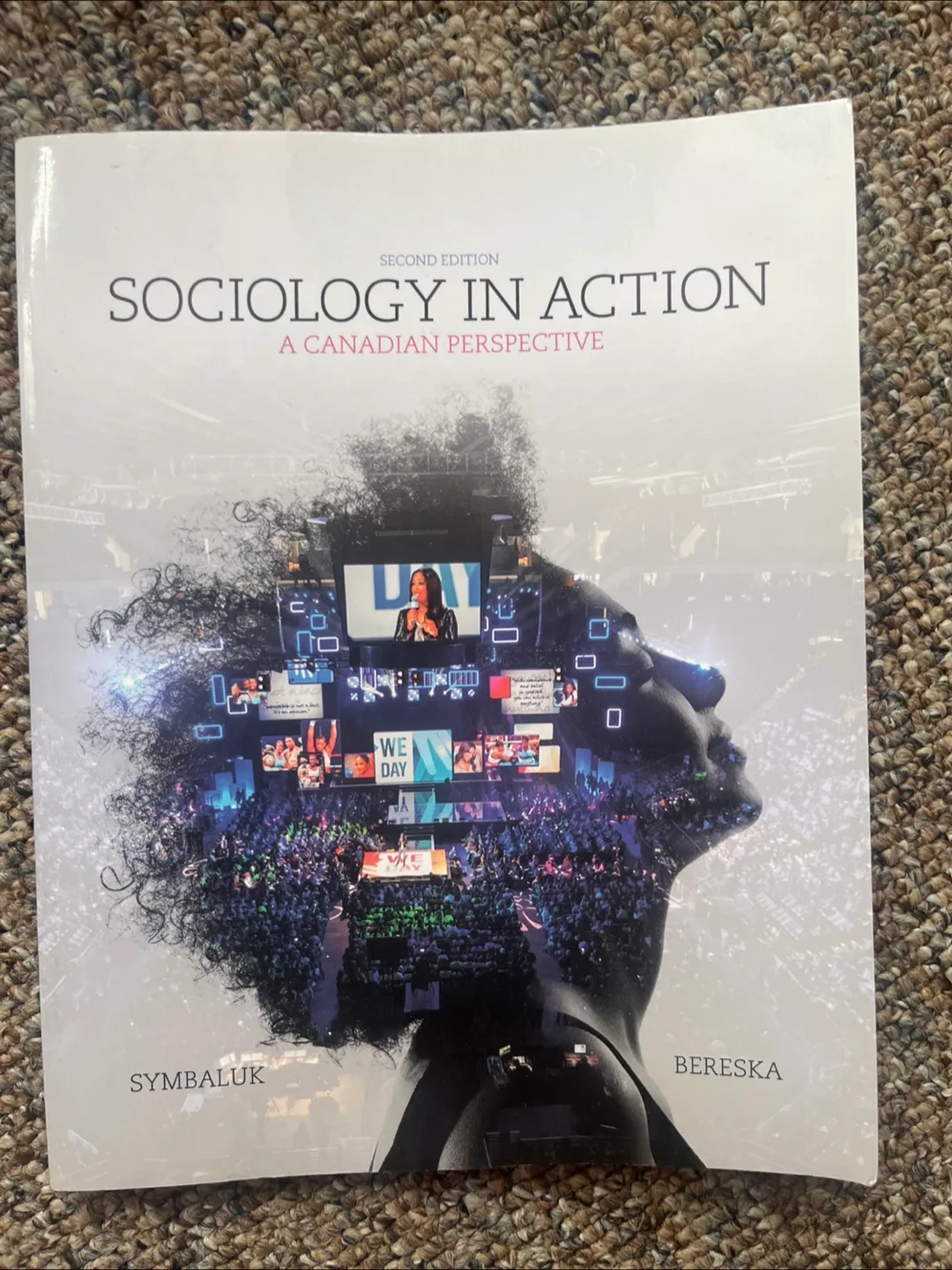 Sociology in Action: A Canadian Perspective thumbnail