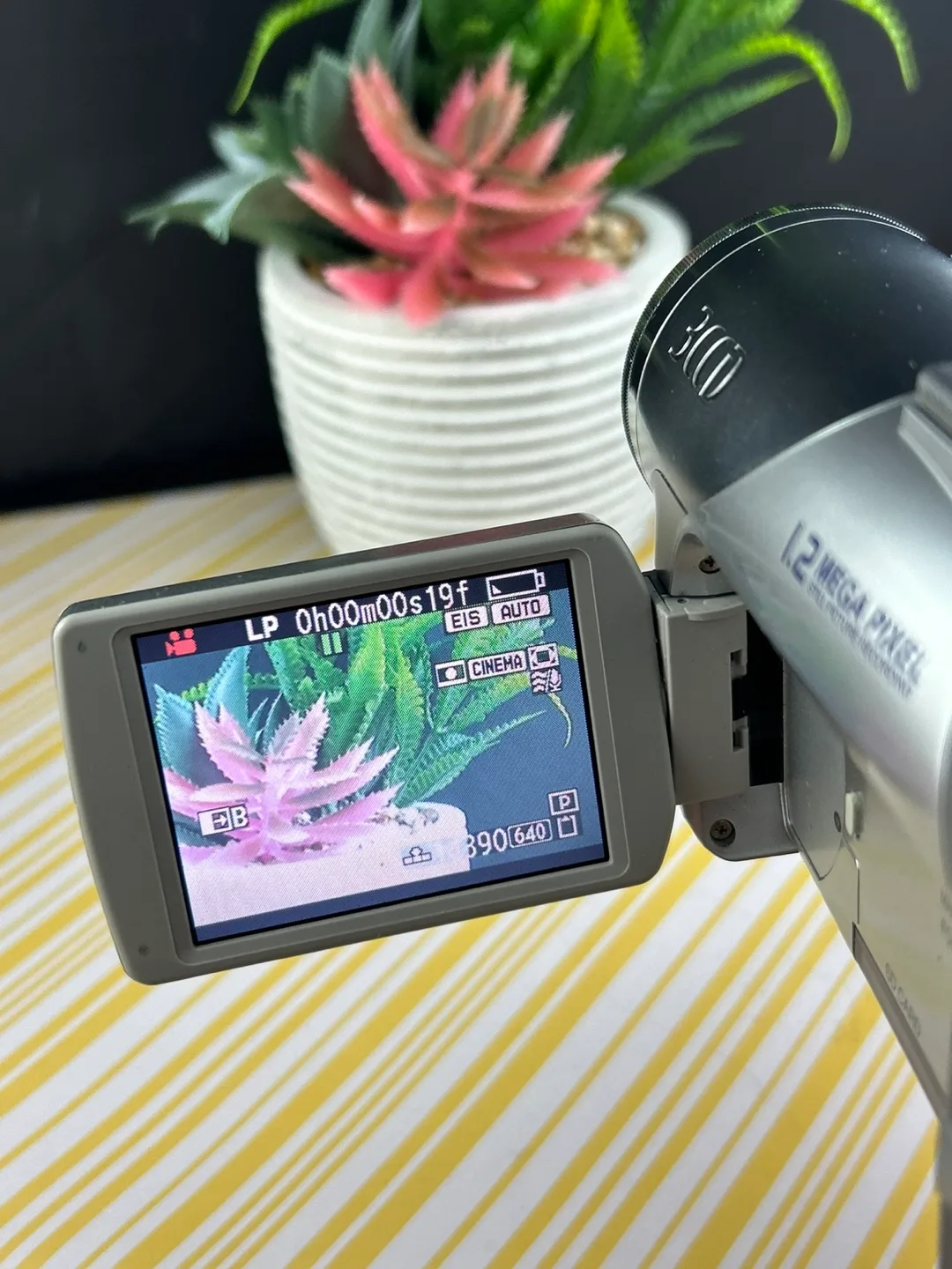 Panasonic PV-GS65 LCD 3CCD MiniDV & SD Card Camcorder image indicator(8)