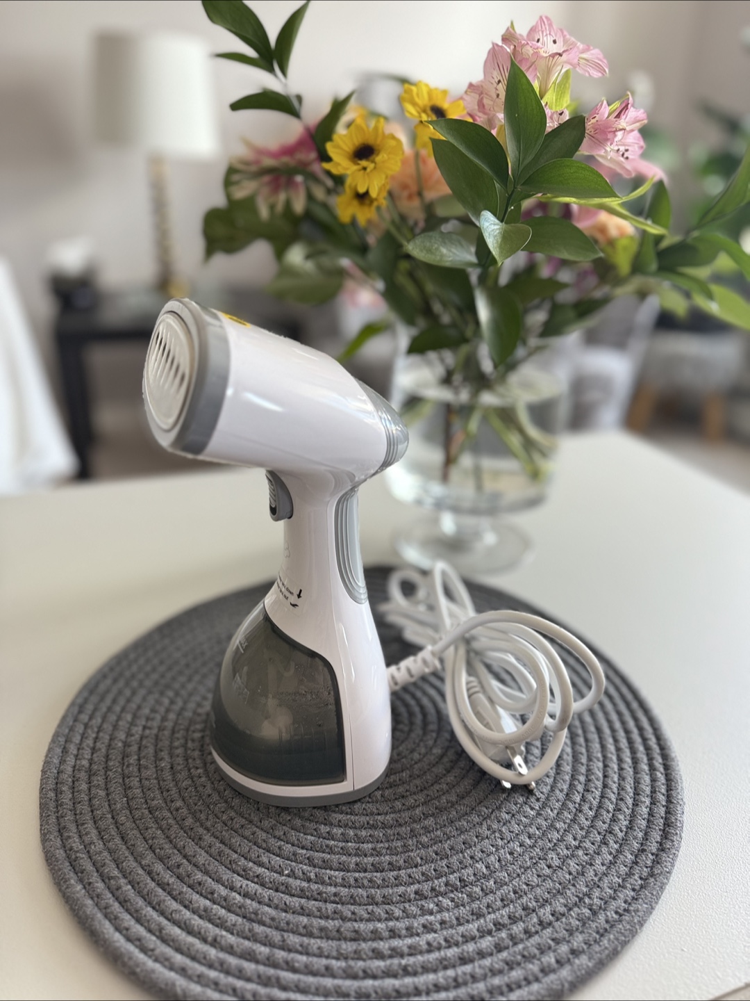 Compact Size Garment Steamer