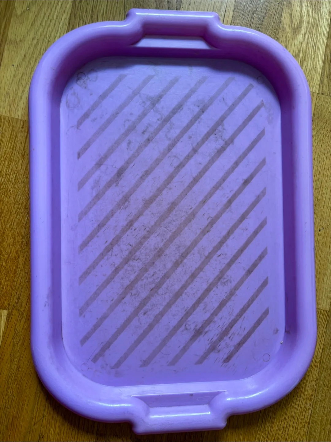 Purple Plastic Tray #freecycle thumbnail