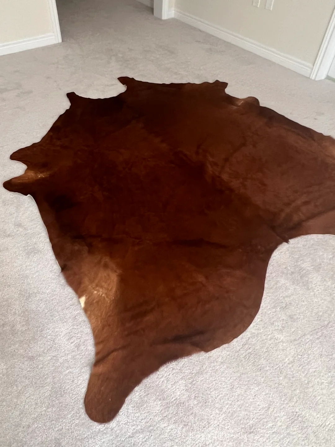 Brown Cowhide Rug thumbnail