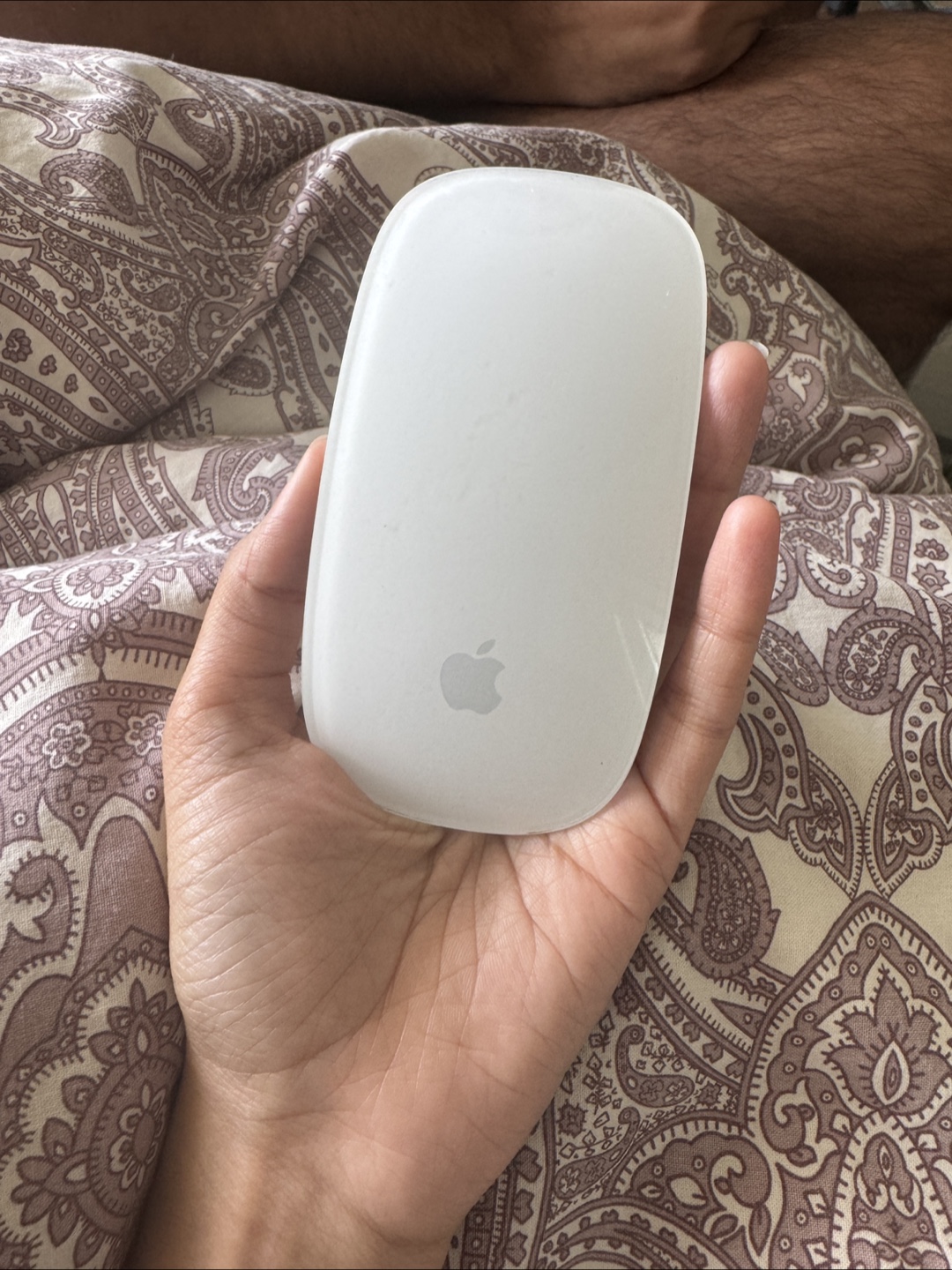 Apple Magic Mouse - White - photo 2