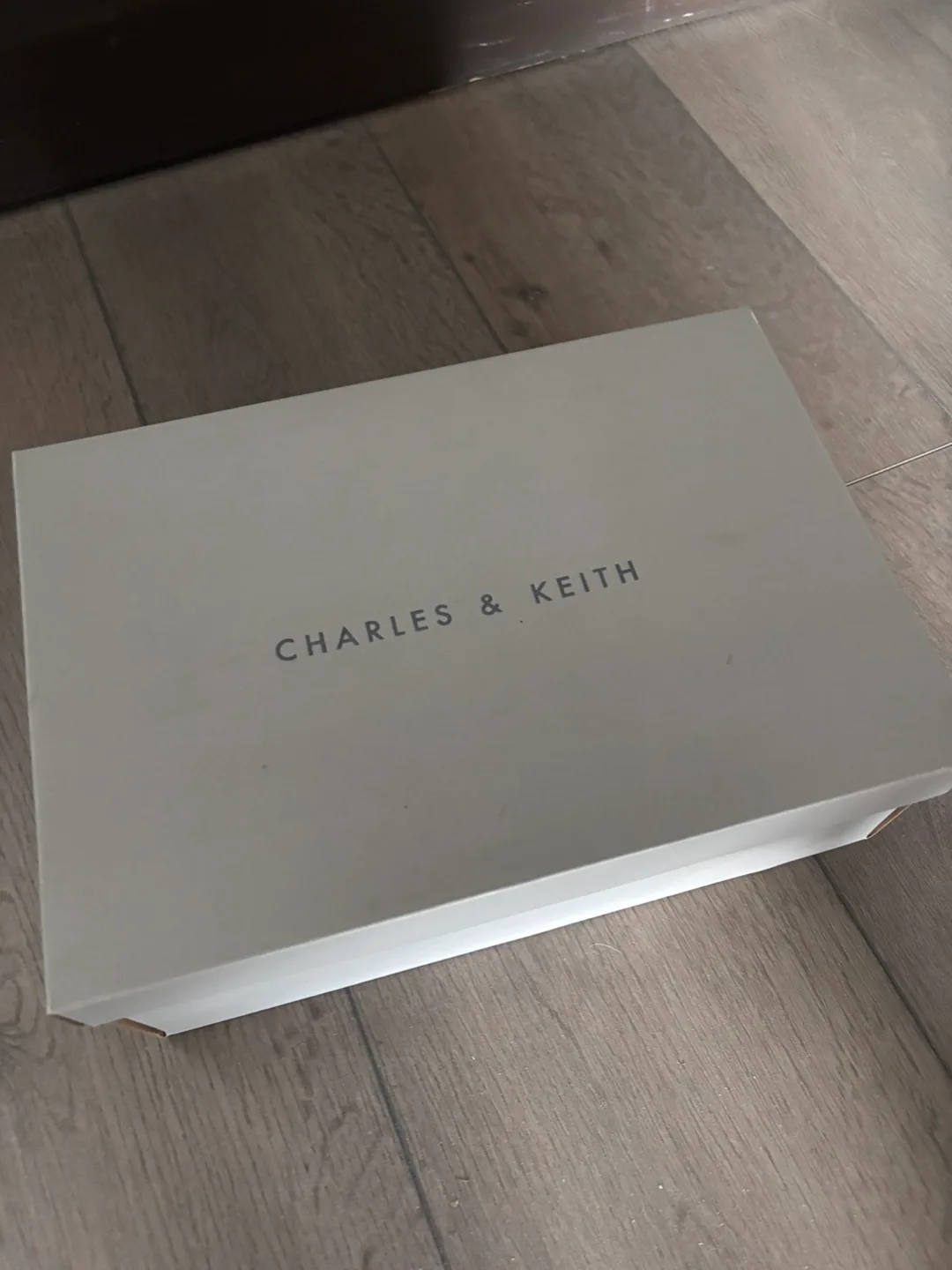 Brand New Charles & Keith Pearl Buckle Slingback Pumps Maryjane image indicator(5)