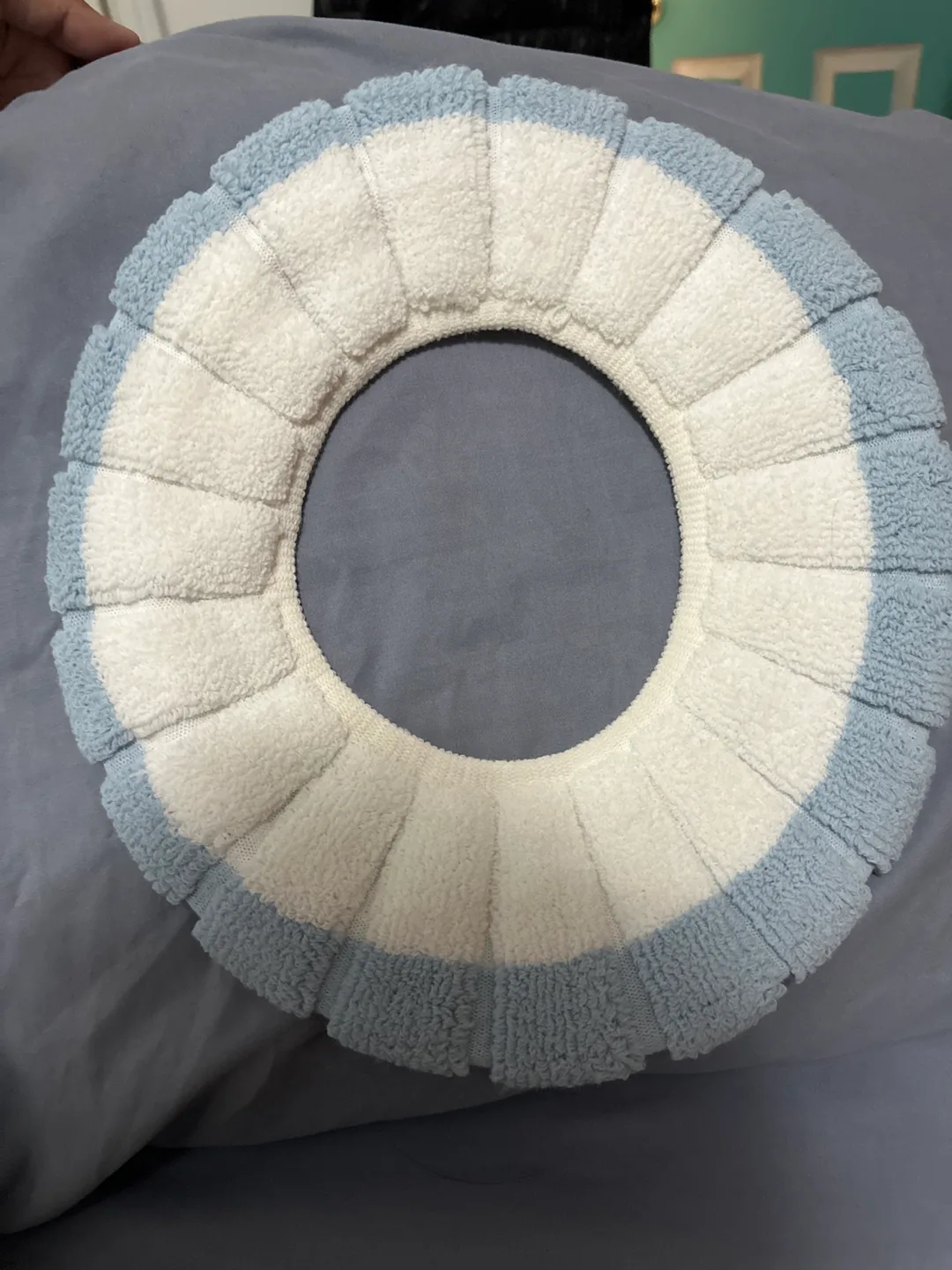 Blue & White Toilet Seat Cover #freecycle thumbnail