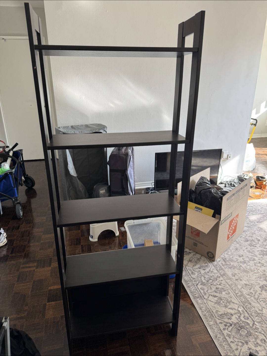 Black Ladder Shelf
