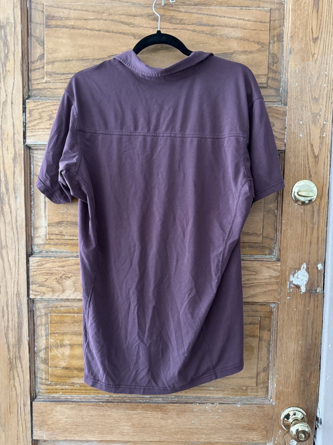 Arc'teryx Men's Purple Polo Shirt - Size L - photo 2