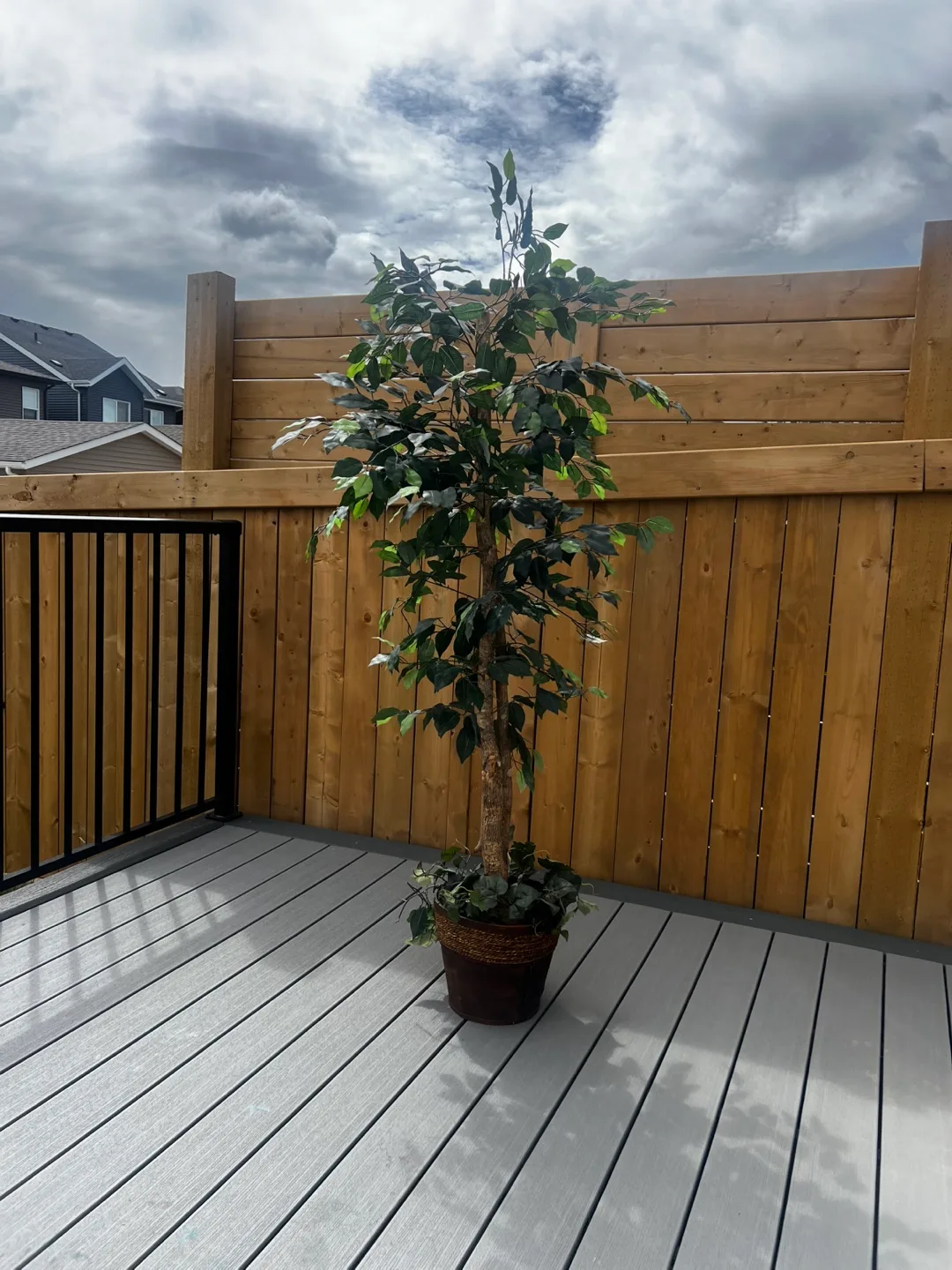Artificial Ficus Tree thumbnail