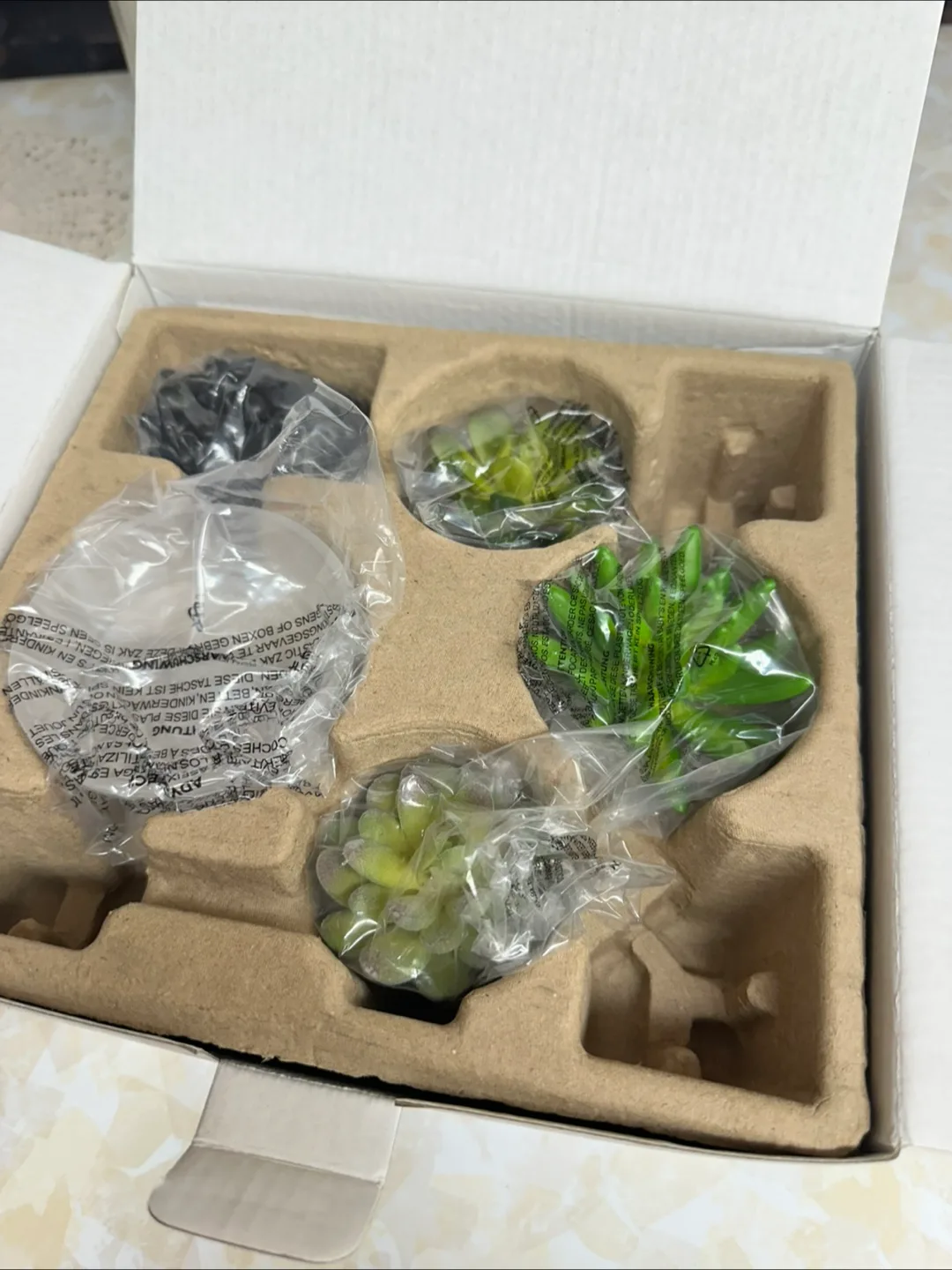 Scentsy Warmer with Artificial Succulents image indicator(2)