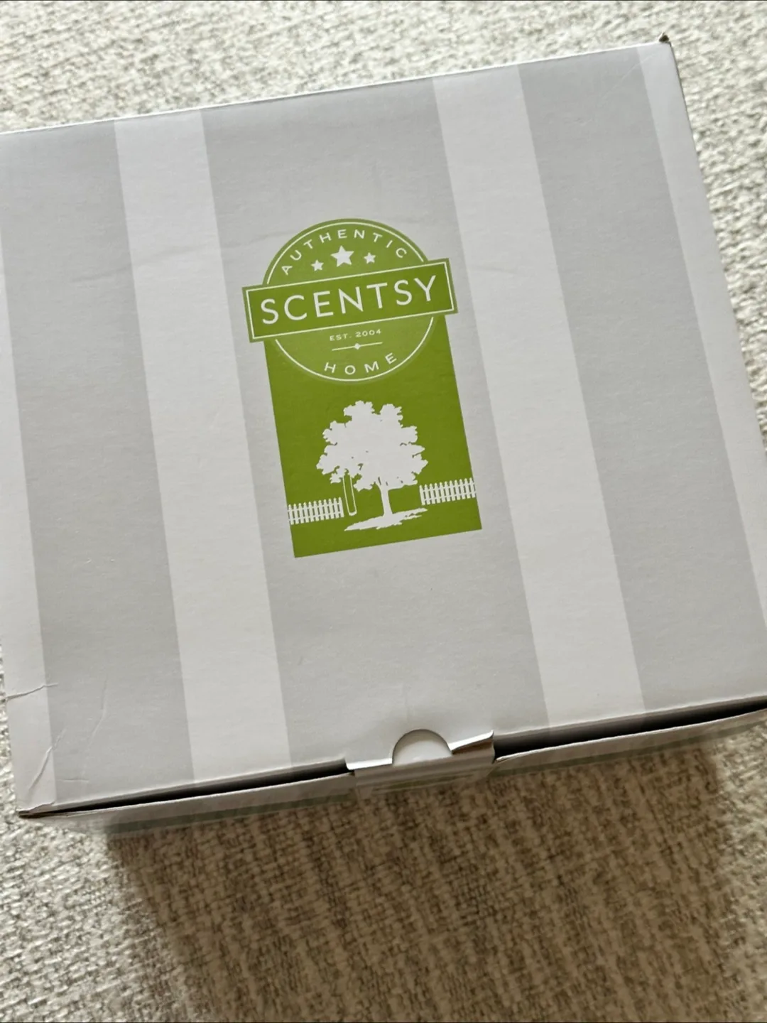 Scentsy Warmer with Artificial Succulents image indicator(7)