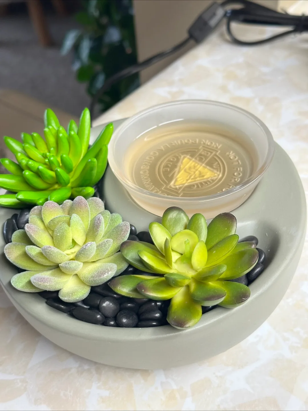 Scentsy Warmer with Artificial Succulents thumbnail