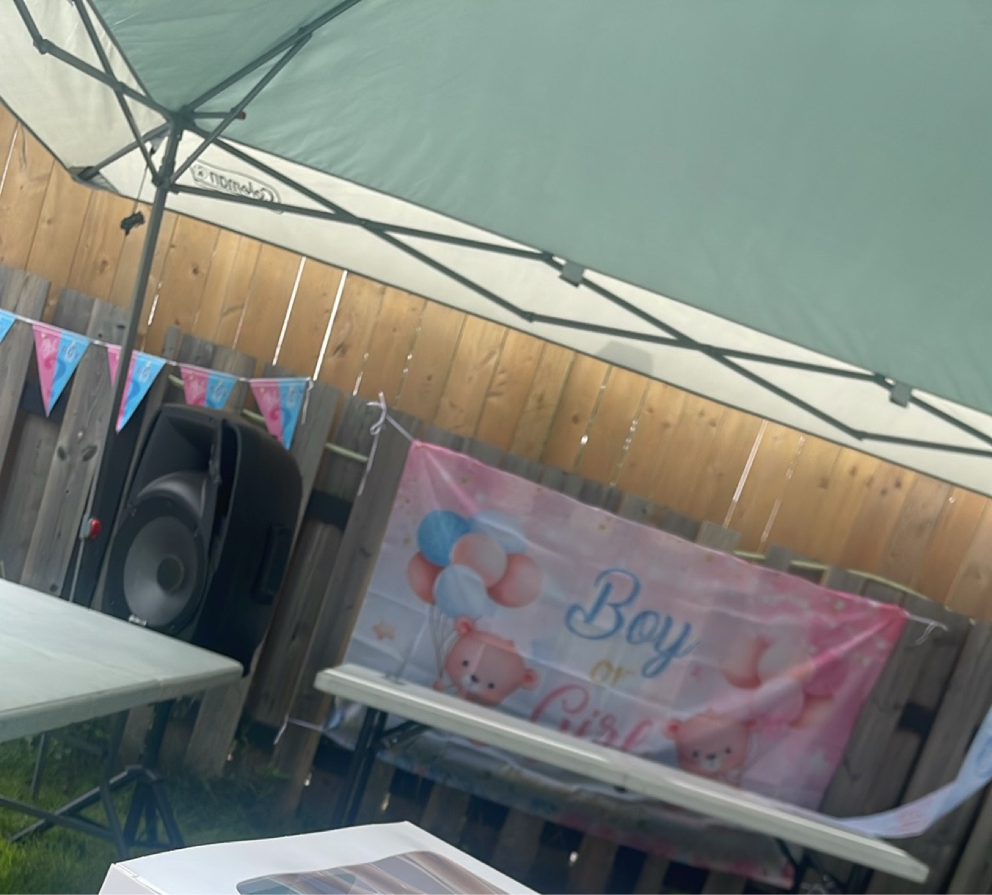 Gender Reveal Decoration