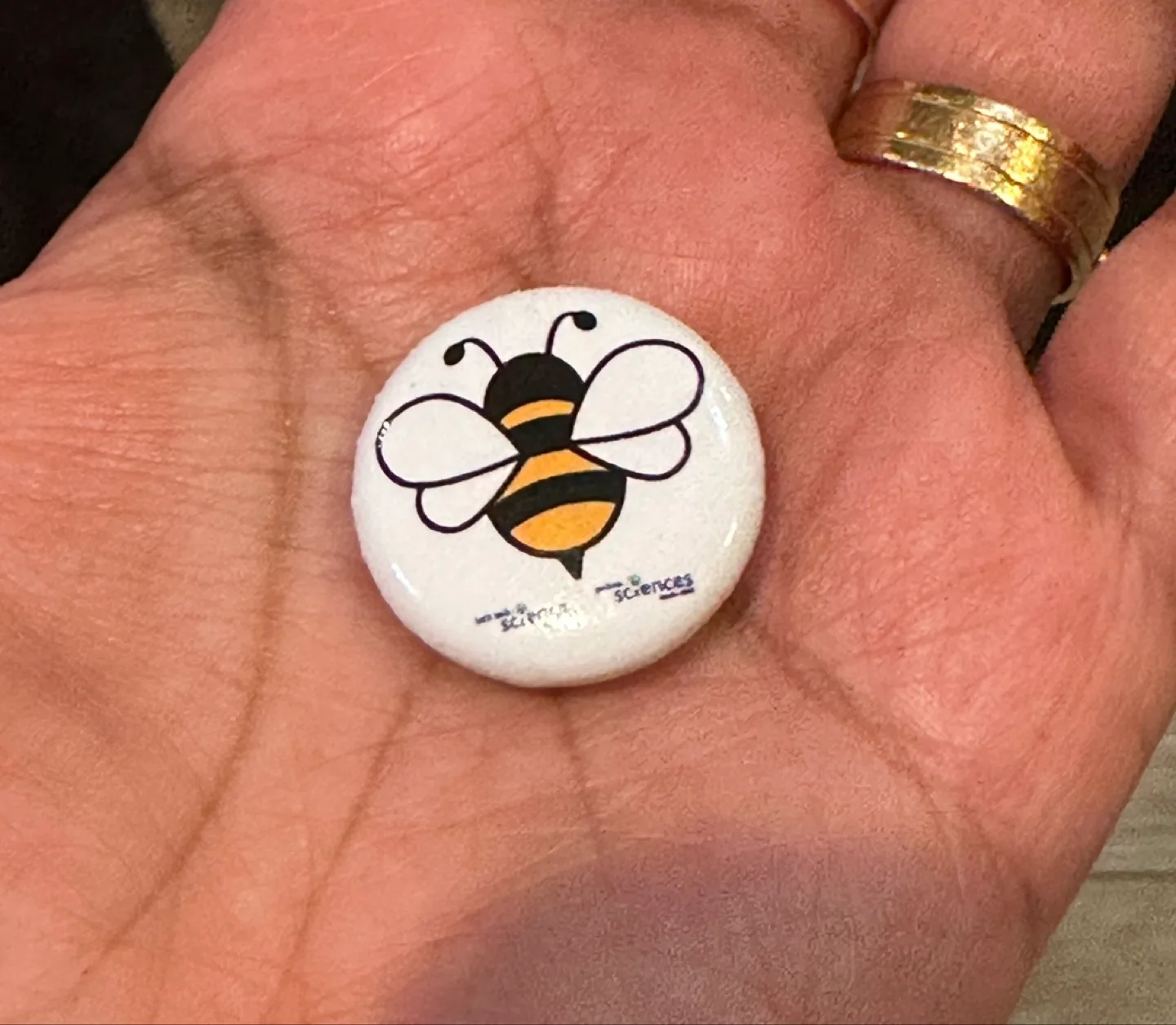 Science Sciences Bee Button Pin #freecycle thumbnail