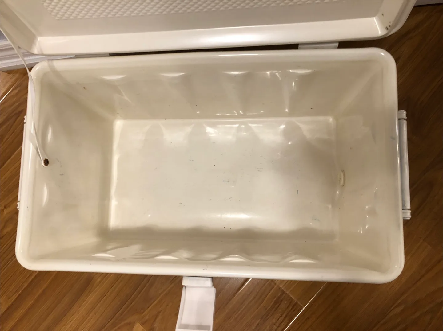 Coleman Cooler - Blue image indicator(7)