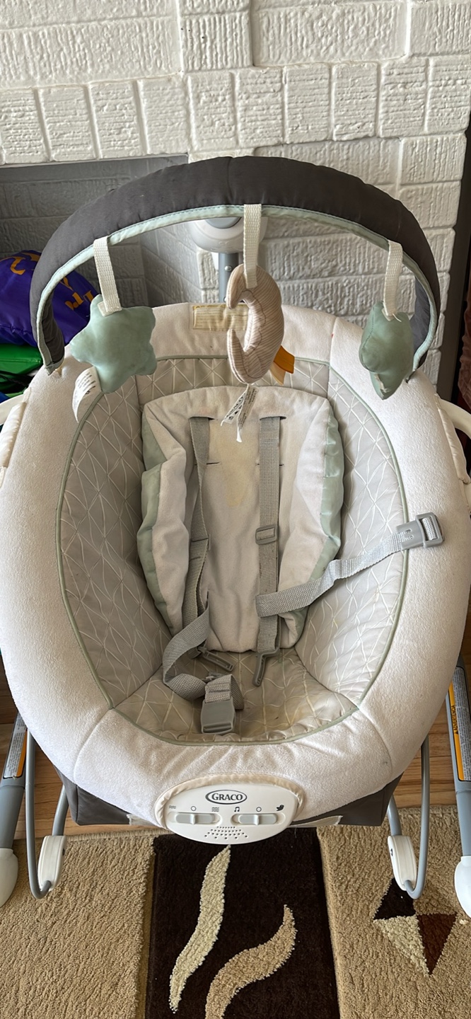 Graco Baby Swing