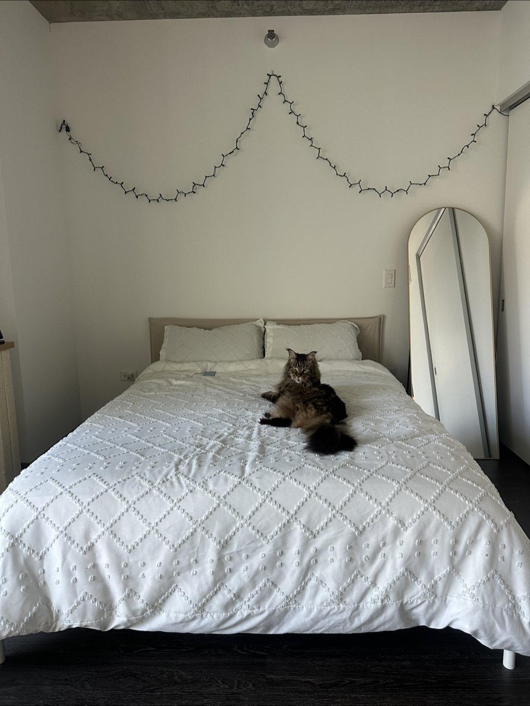 IKEA KLEPPSTAD Queen Bed Frame + Mattress