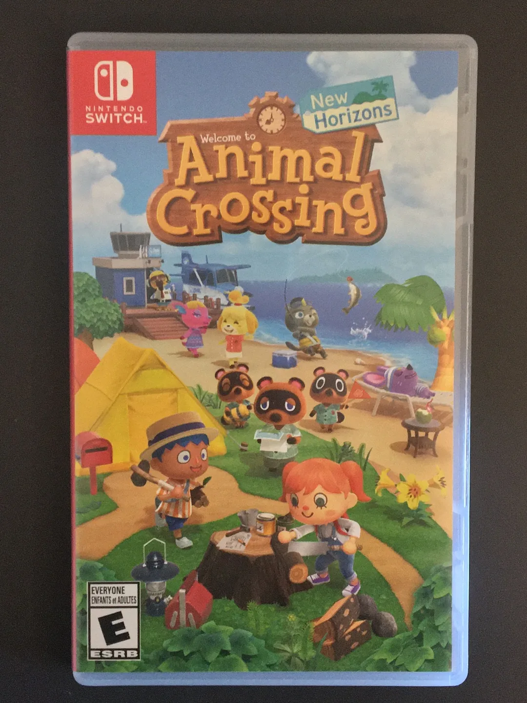 Animal Crossing: New Horizons - Nintendo Switch Game thumbnail