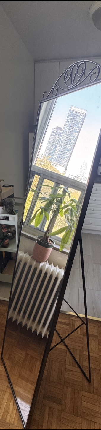 Standing Mirror with Metal Frame