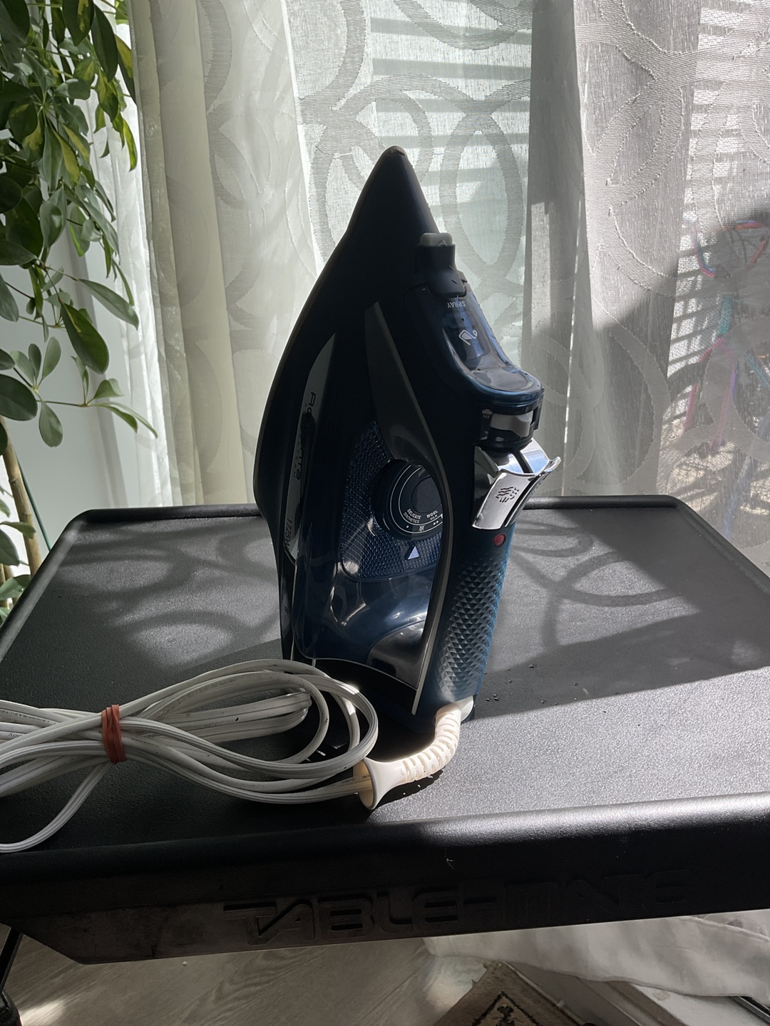 Rowenta Steam Iron