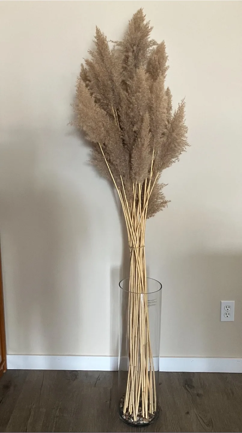 Pampas Grass & Glass Vase thumbnail