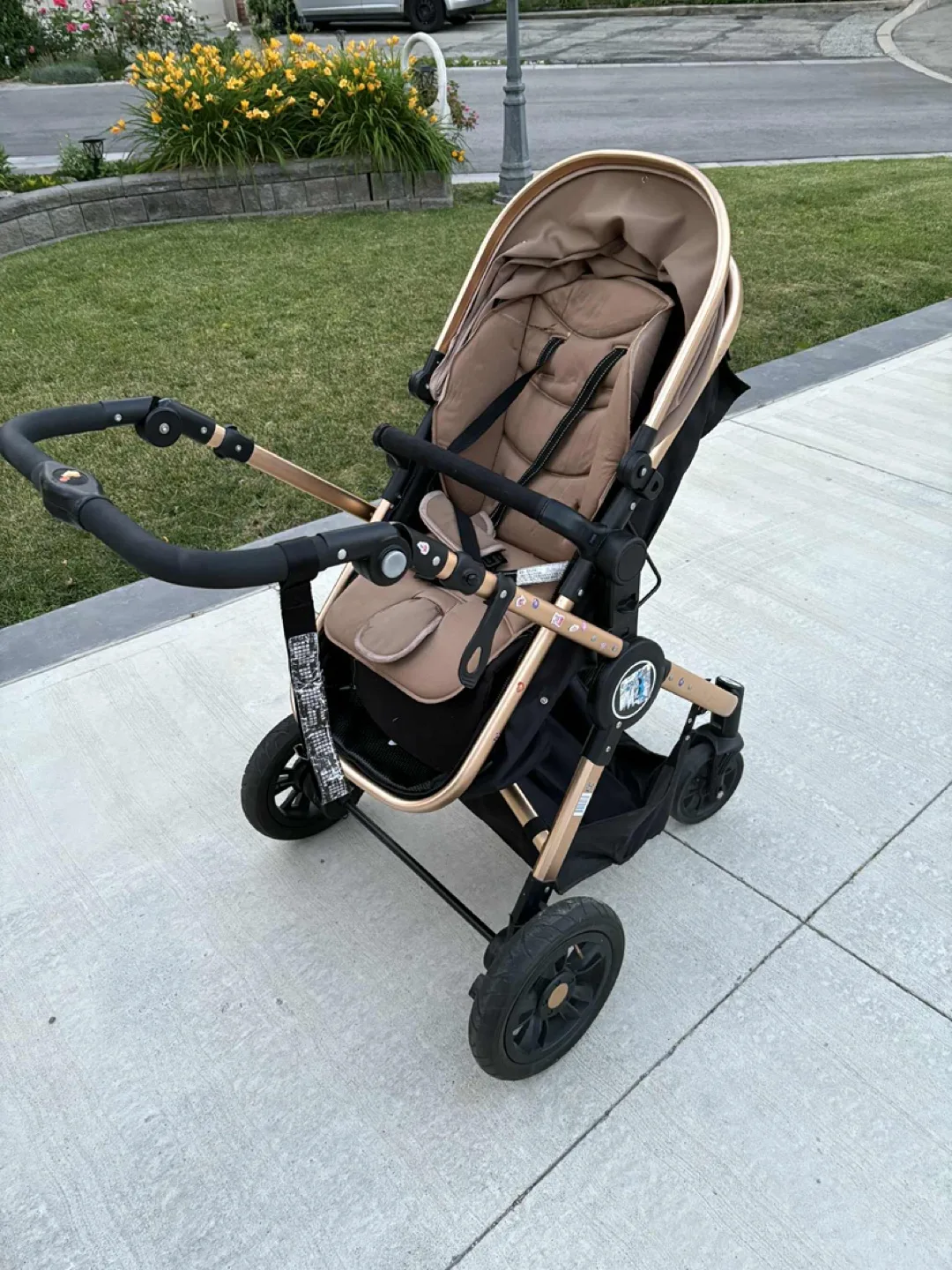 Stylish Stroller - Beige & Gold Accents image indicator(2)