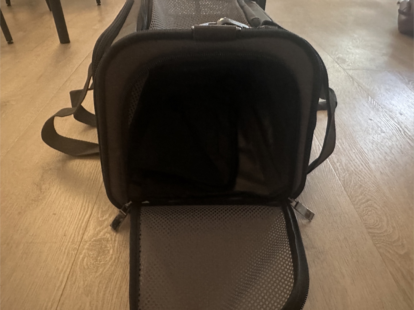 Expendable Pet Carrier - photo 2