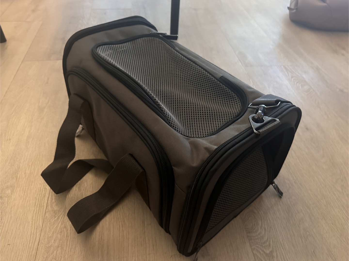 Expendable Pet Carrier