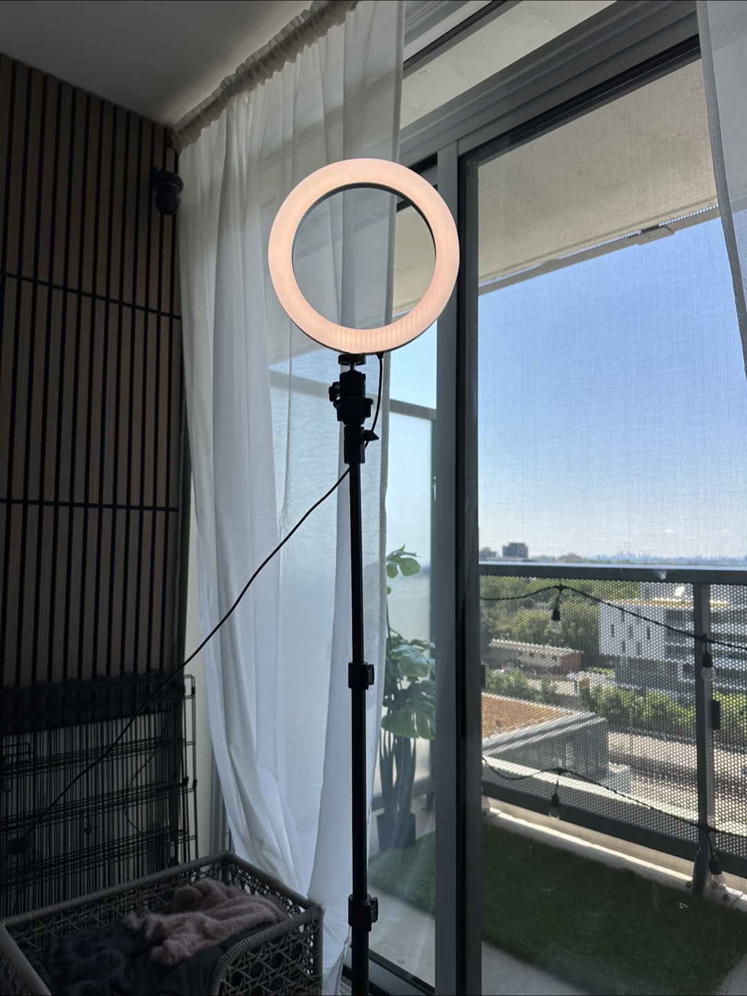 Ring Light with Tripod Stand - photo 3