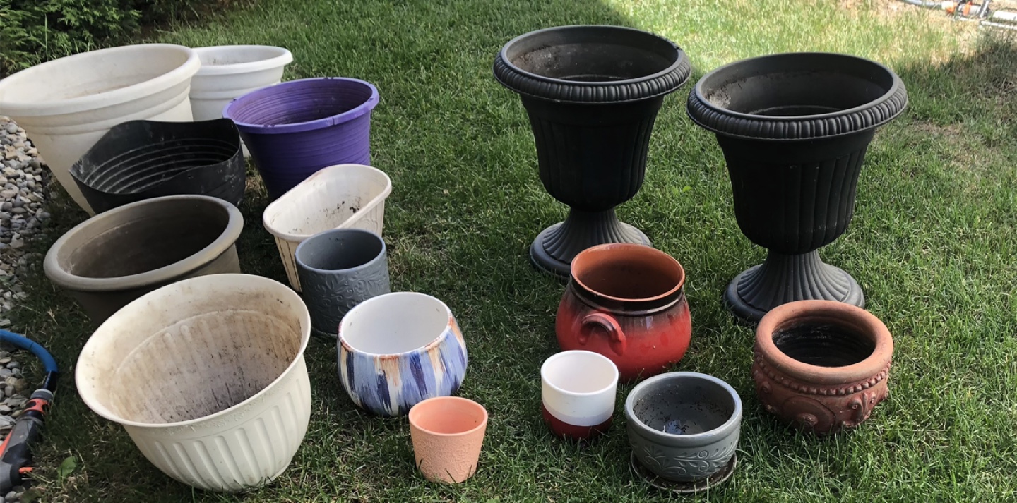 Variety of Used Flower Pots