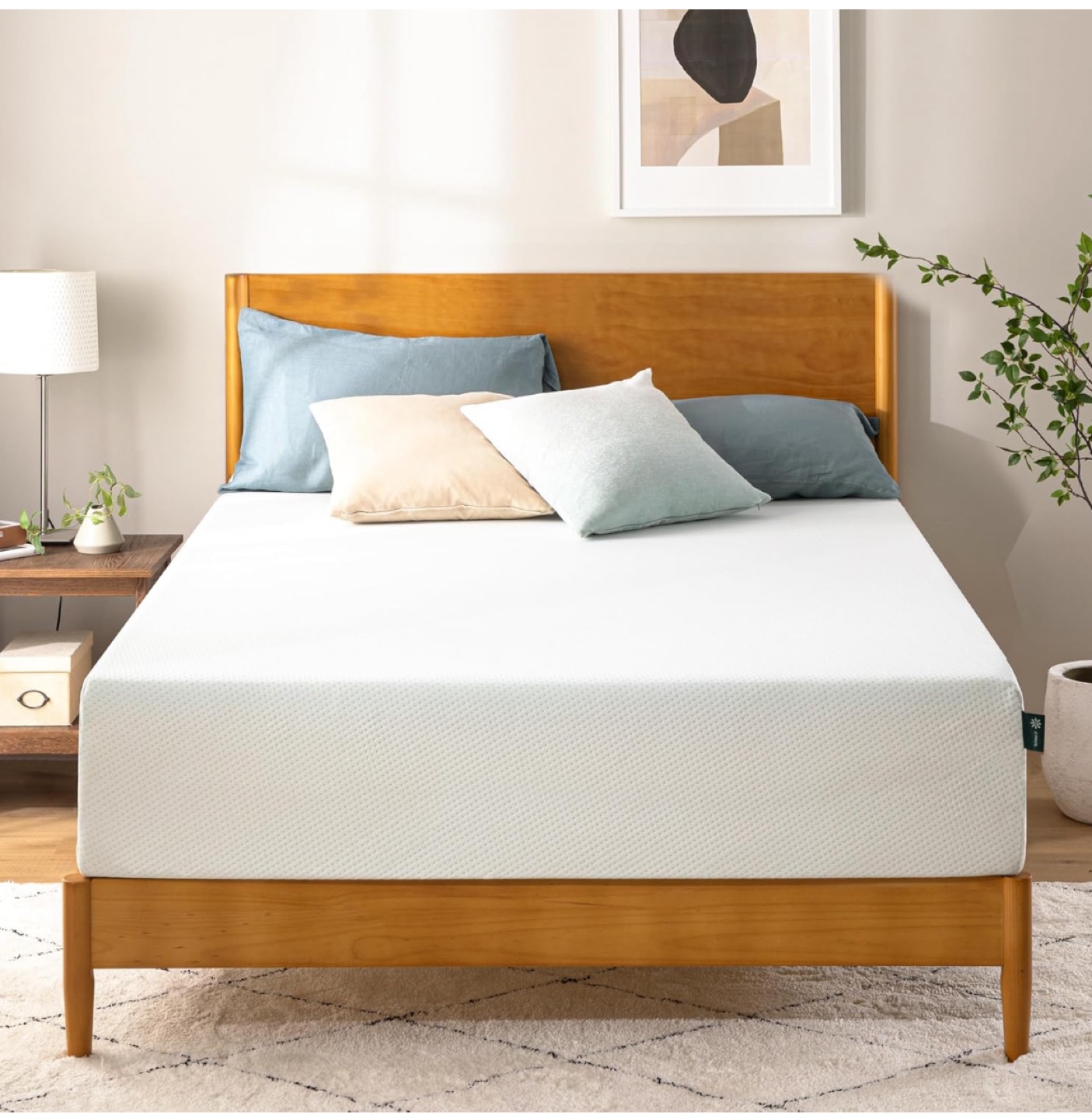 Zinus 10-Inch Green Tea Memory Foam Full Size Mattress (54x75)