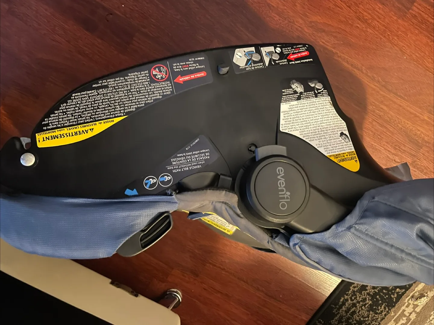 Evenflo Infant Car Seat image indicator(3)