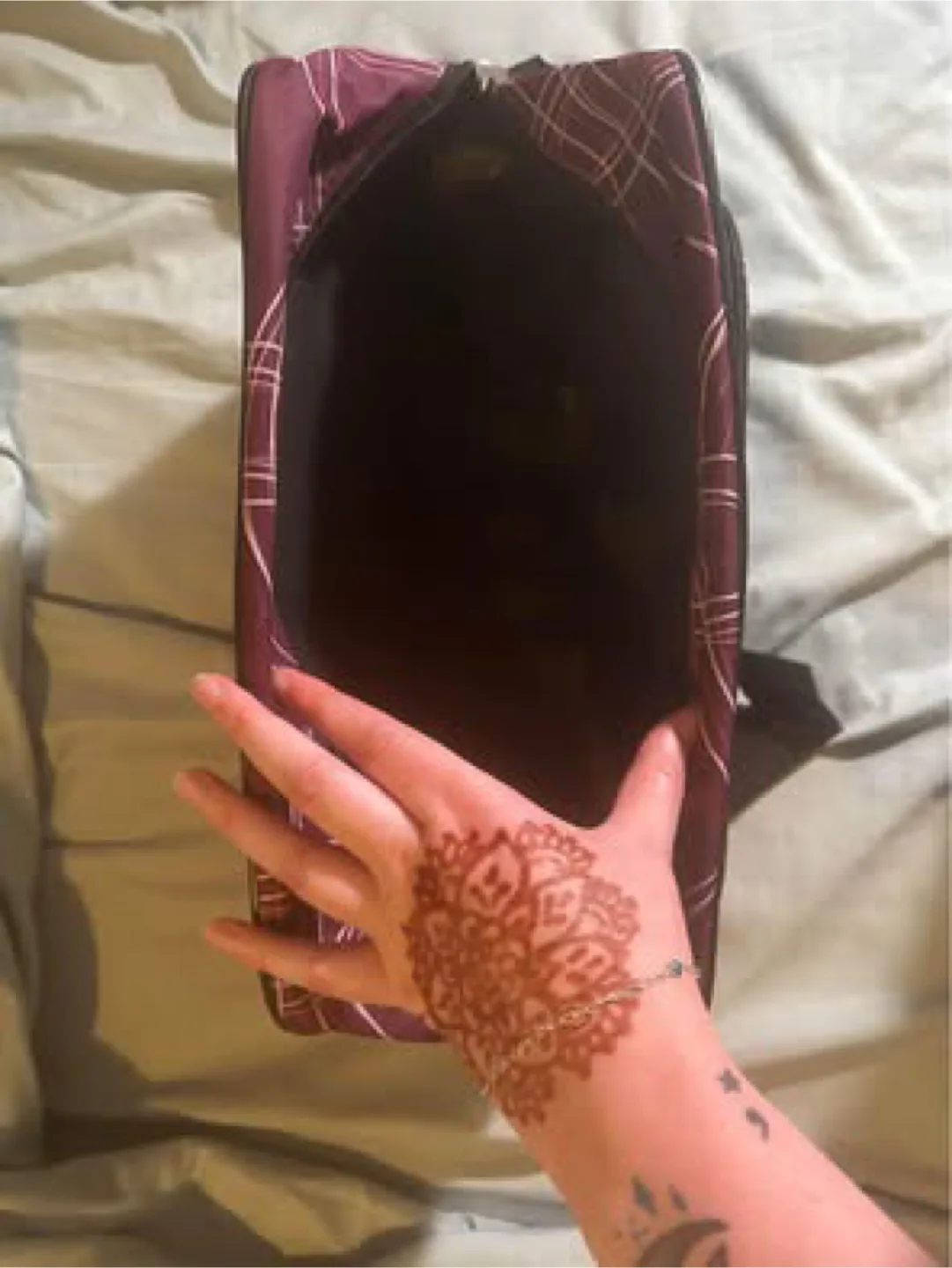 Basic carry-on bag image indicator(2)