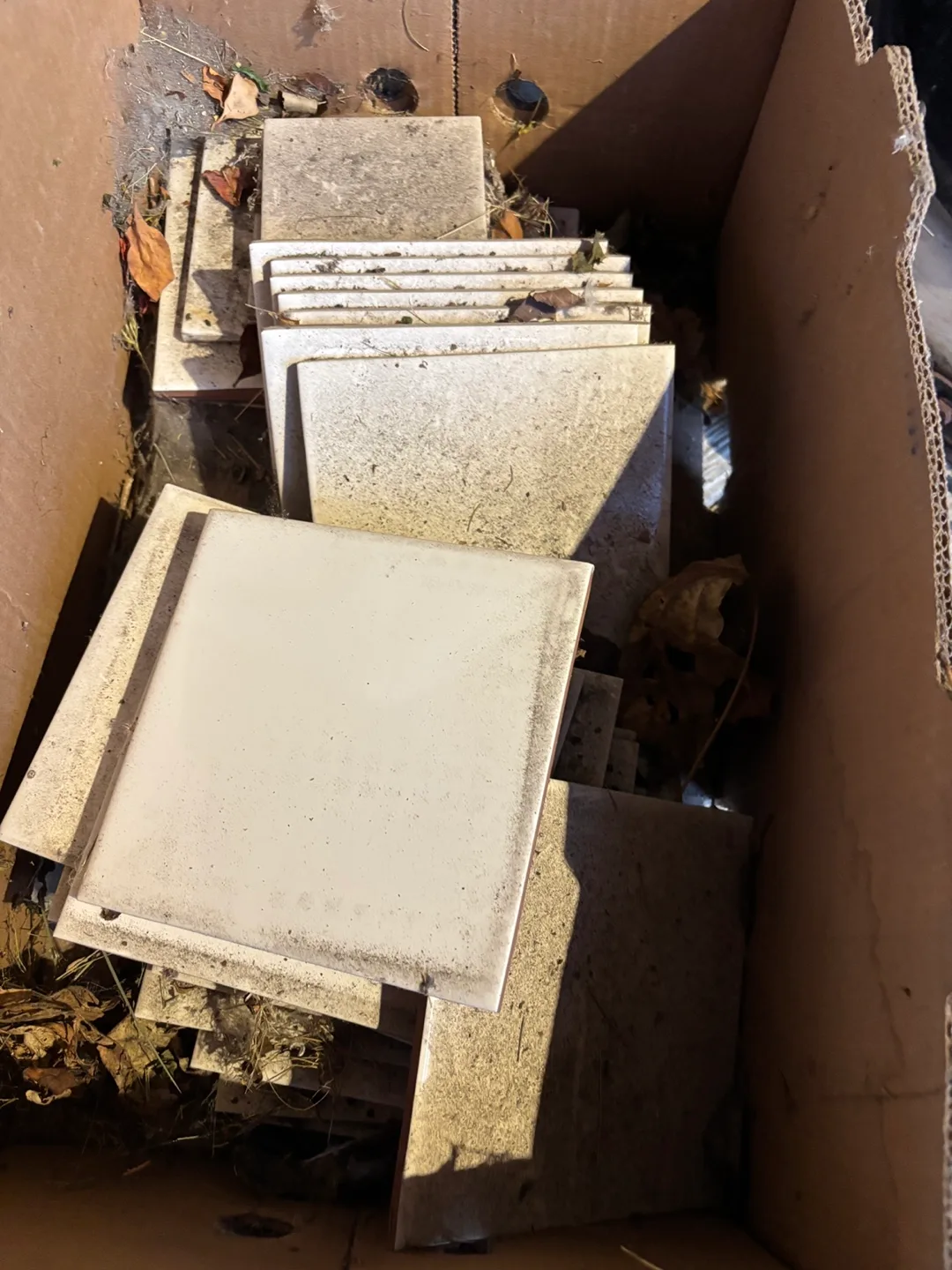 Old tiles #freecycle thumbnail