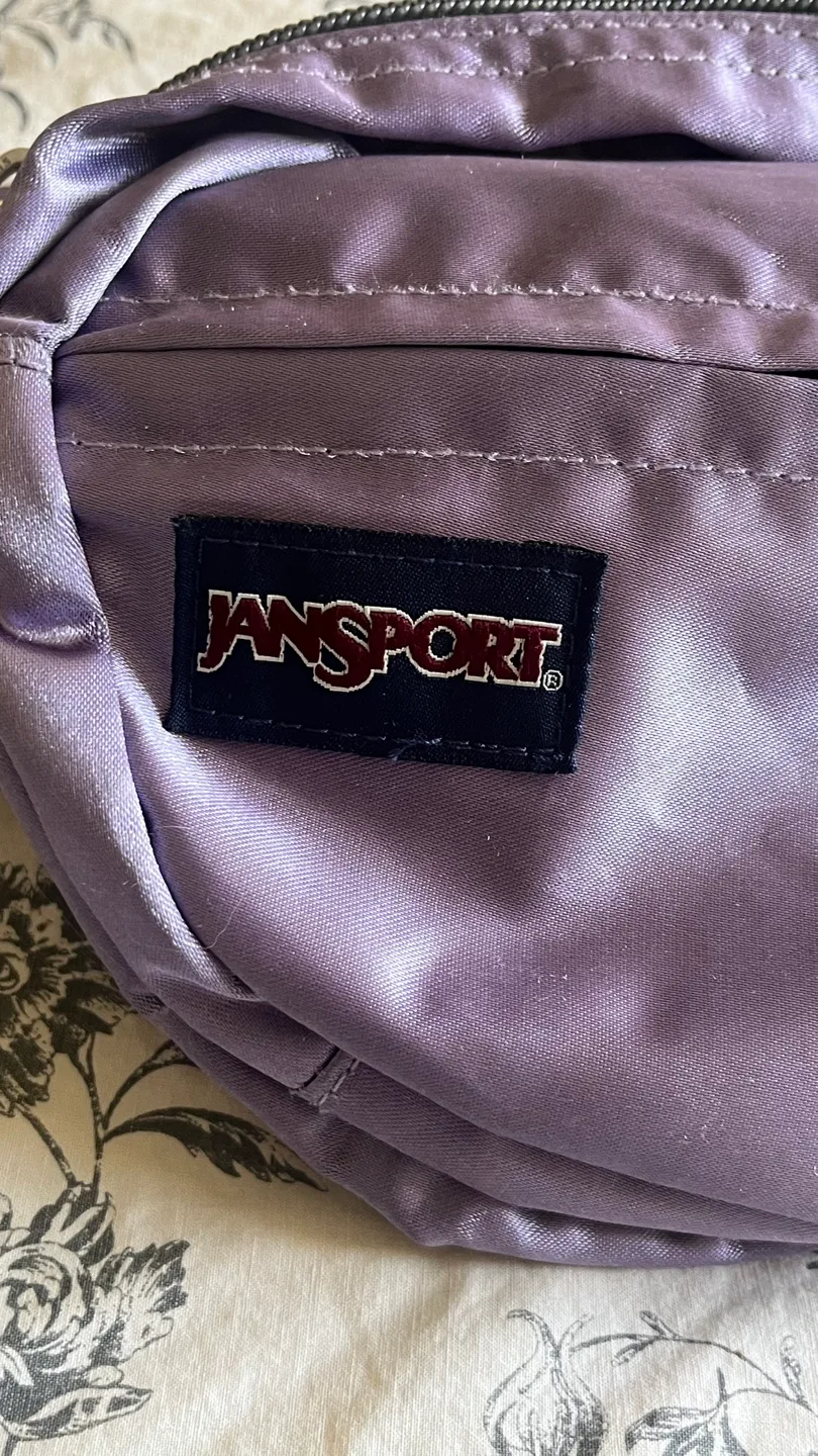 JanSport Fifth Avenue FX Fanny Pack image indicator(6)