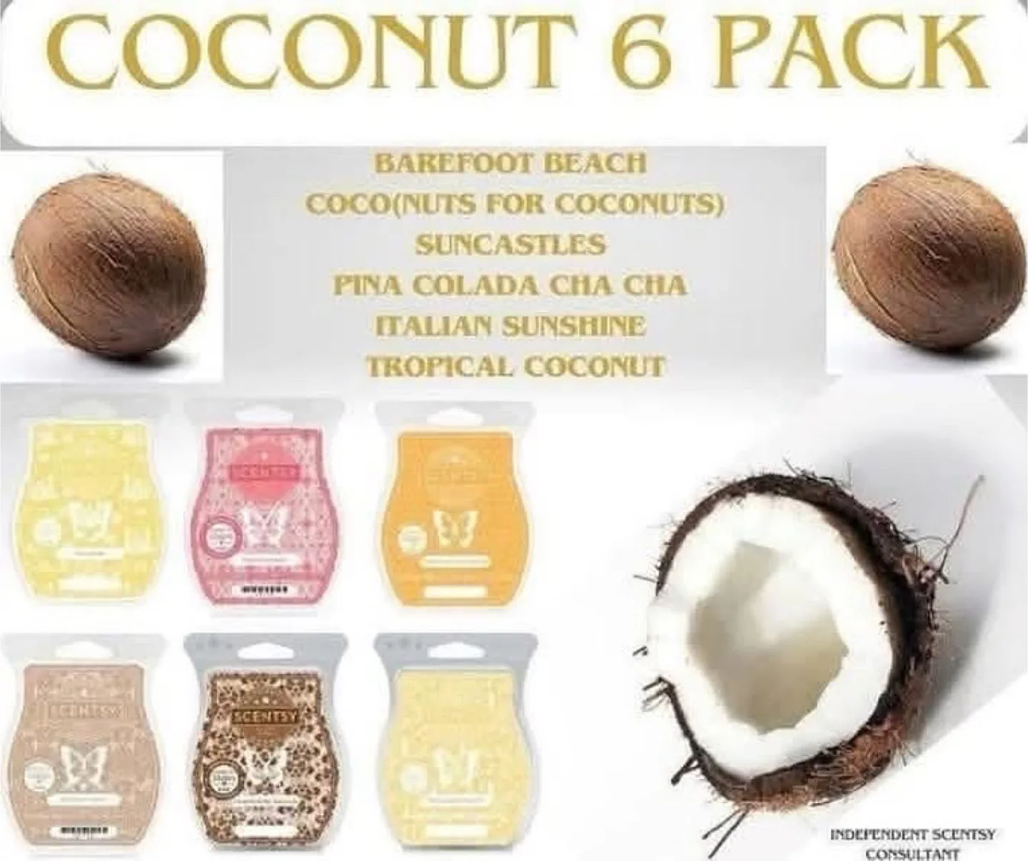 Scentsy Coconut 6 Pack! thumbnail