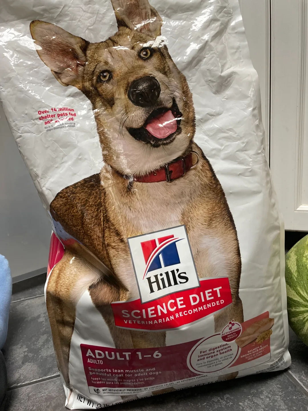 Hill's Science Diet Adult Dog Food (half bag left) #freecycle thumbnail