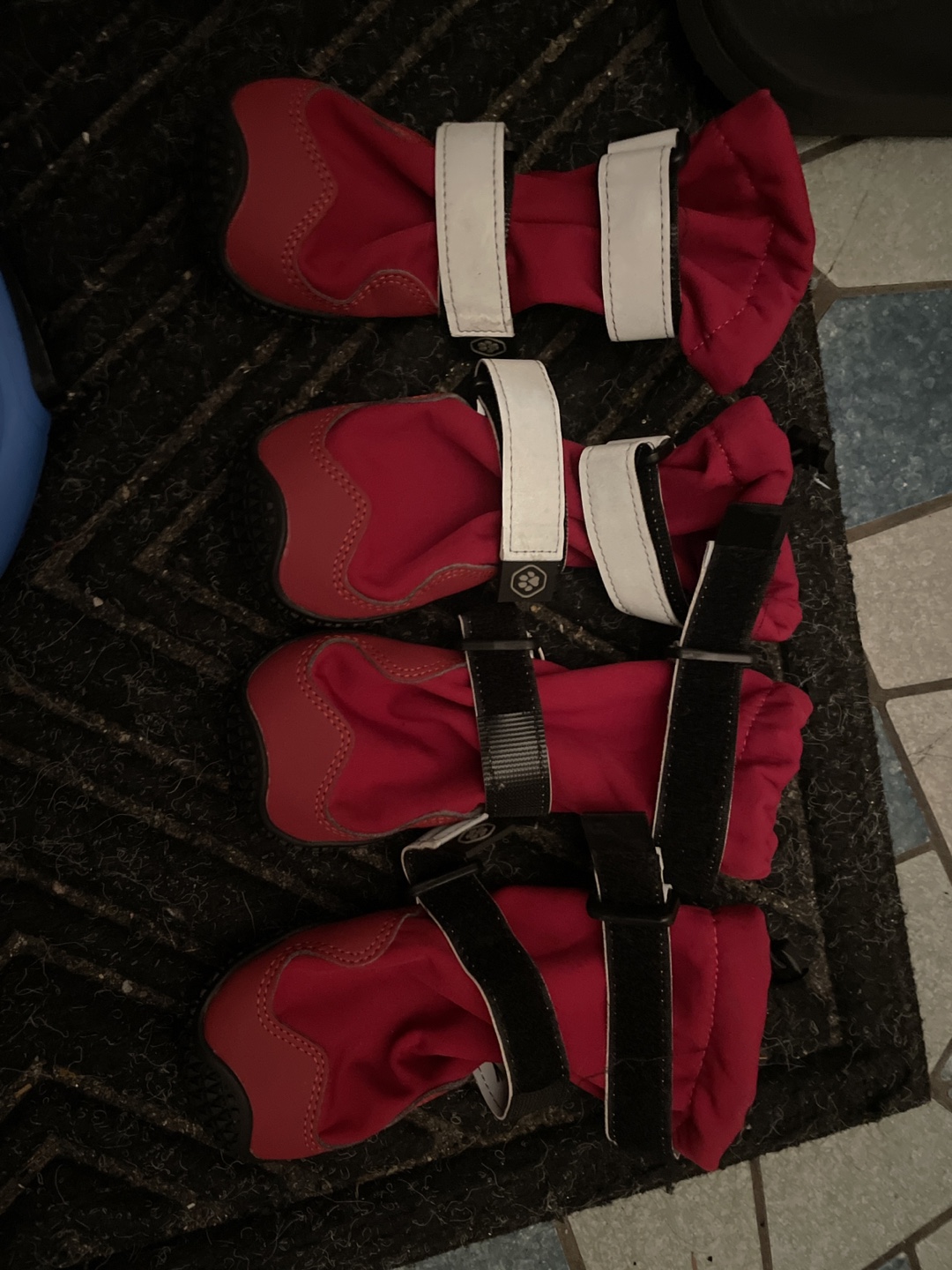 Dog Boots (4 pack) Size medium #freecycle