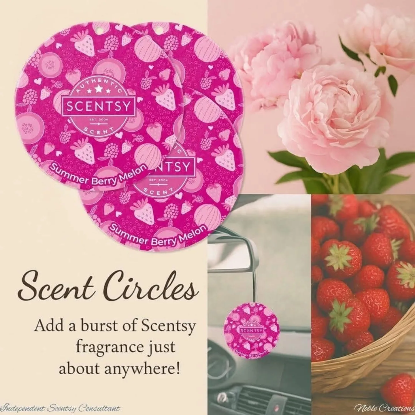 Scentsy Scent Circles! thumbnail