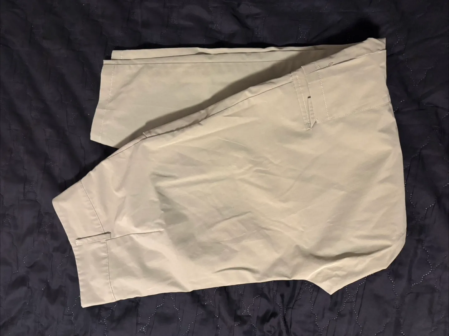 Light  Dress Pants image indicator(2)