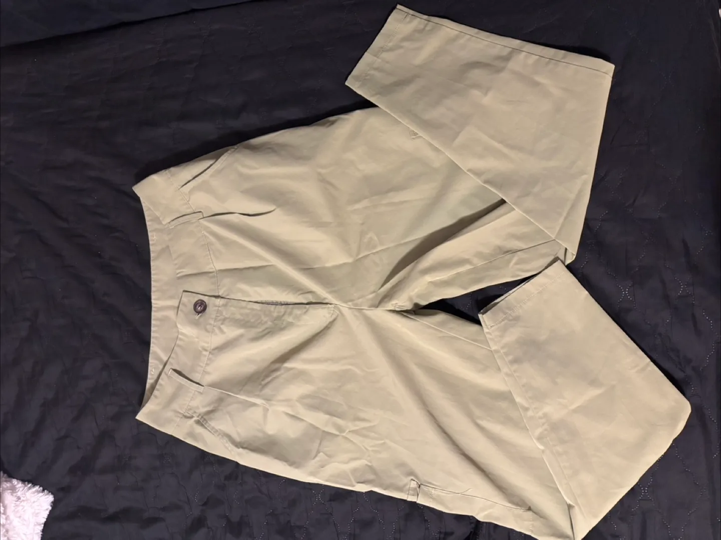 Light  Dress Pants thumbnail