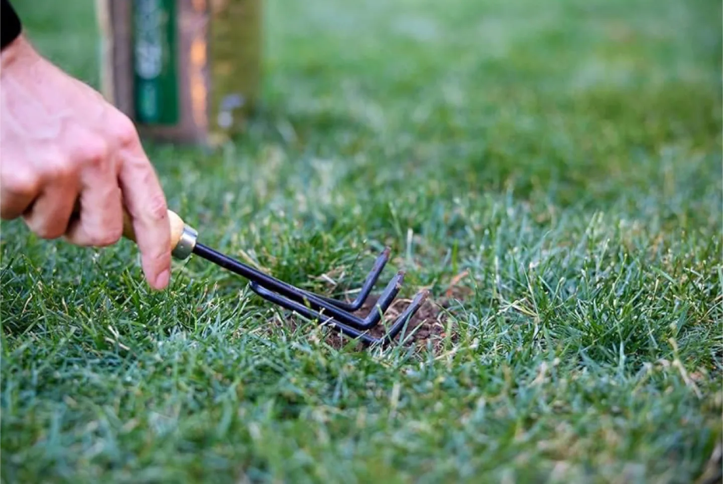 Brand New Scotts EZ Seed 3 in 1  Lawn Grass Patch & Repair image indicator(5)