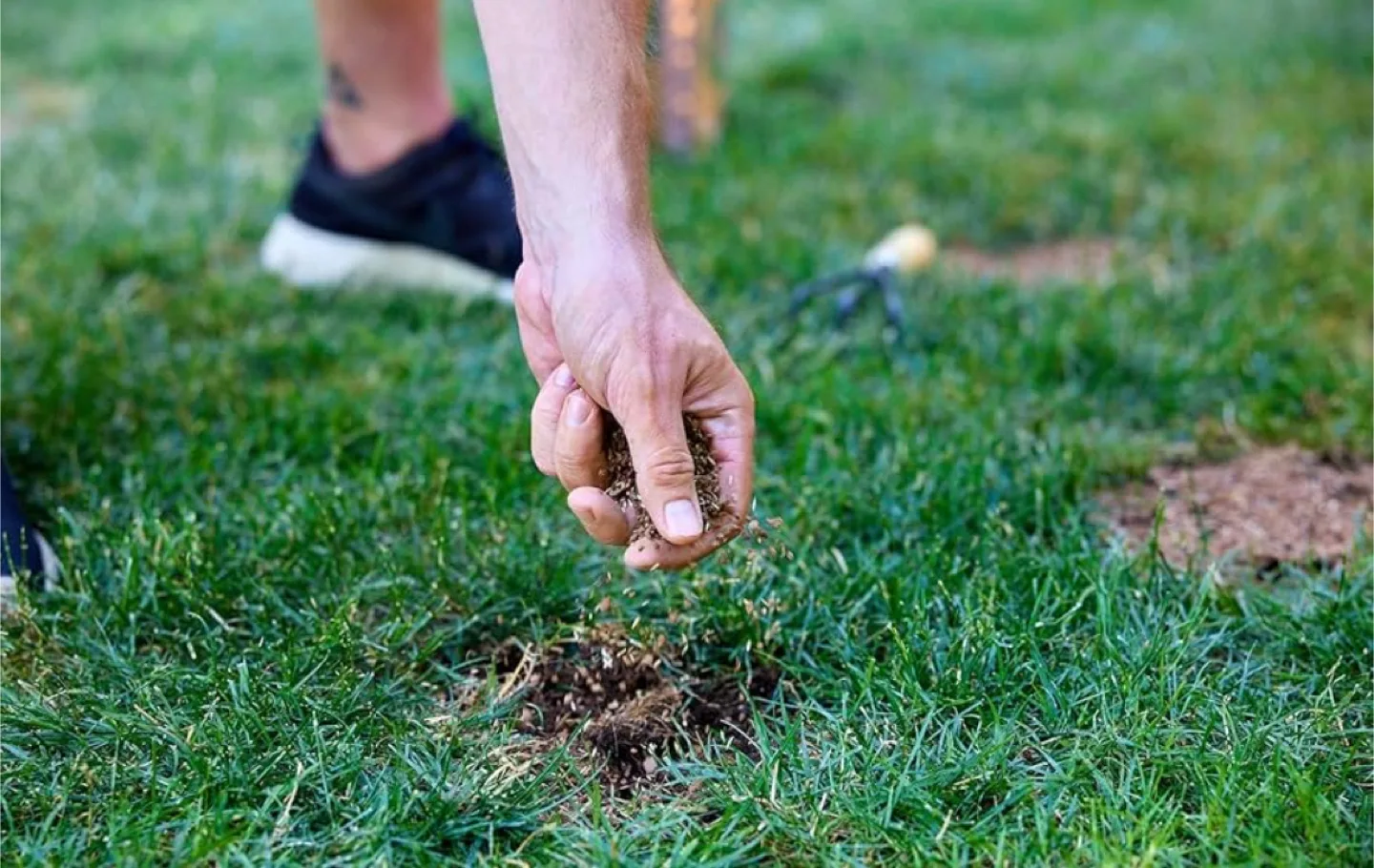 Brand New Scotts EZ Seed 3 in 1  Lawn Grass Patch & Repair image indicator(4)